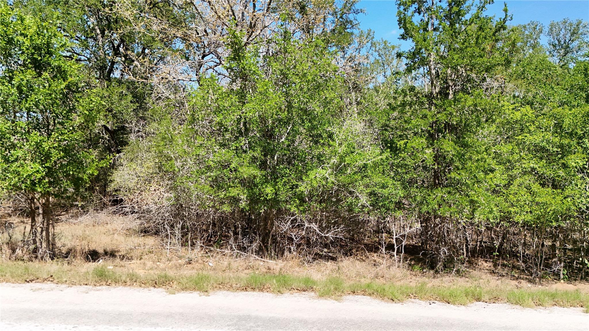 TBD Mokuleia Cir, Bastrop, TX 78602