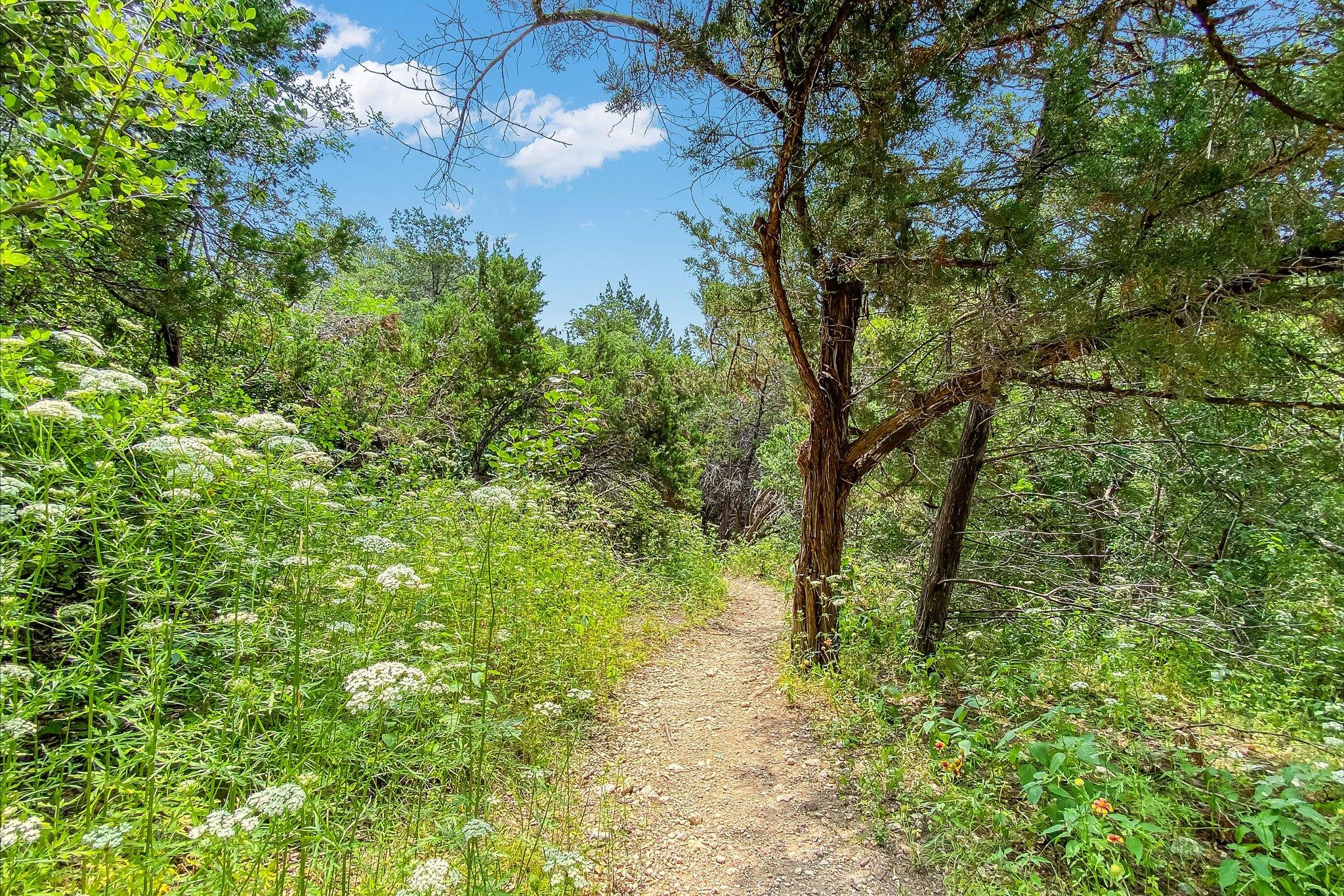 8602 Silver Ridge Dr, Austin, TX 78759