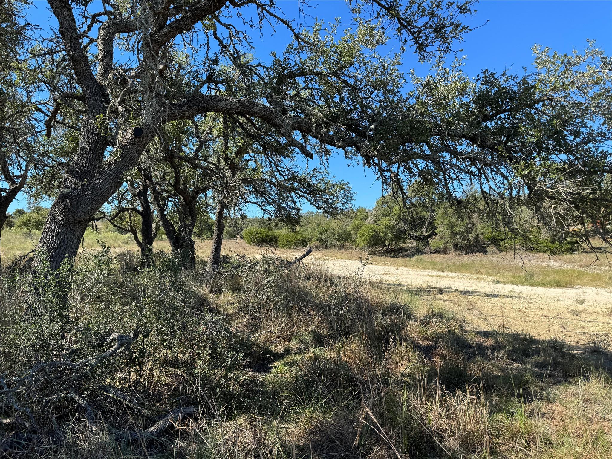 1717 Axis Cir, Fredericksburg, TX 78624