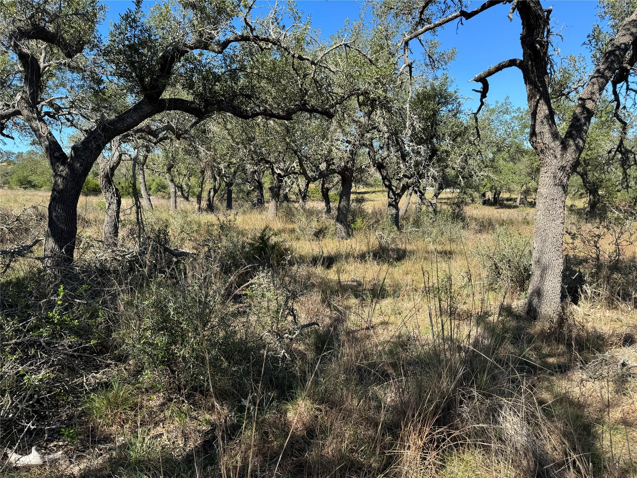 1717 Axis Cir, Fredericksburg, TX 78624