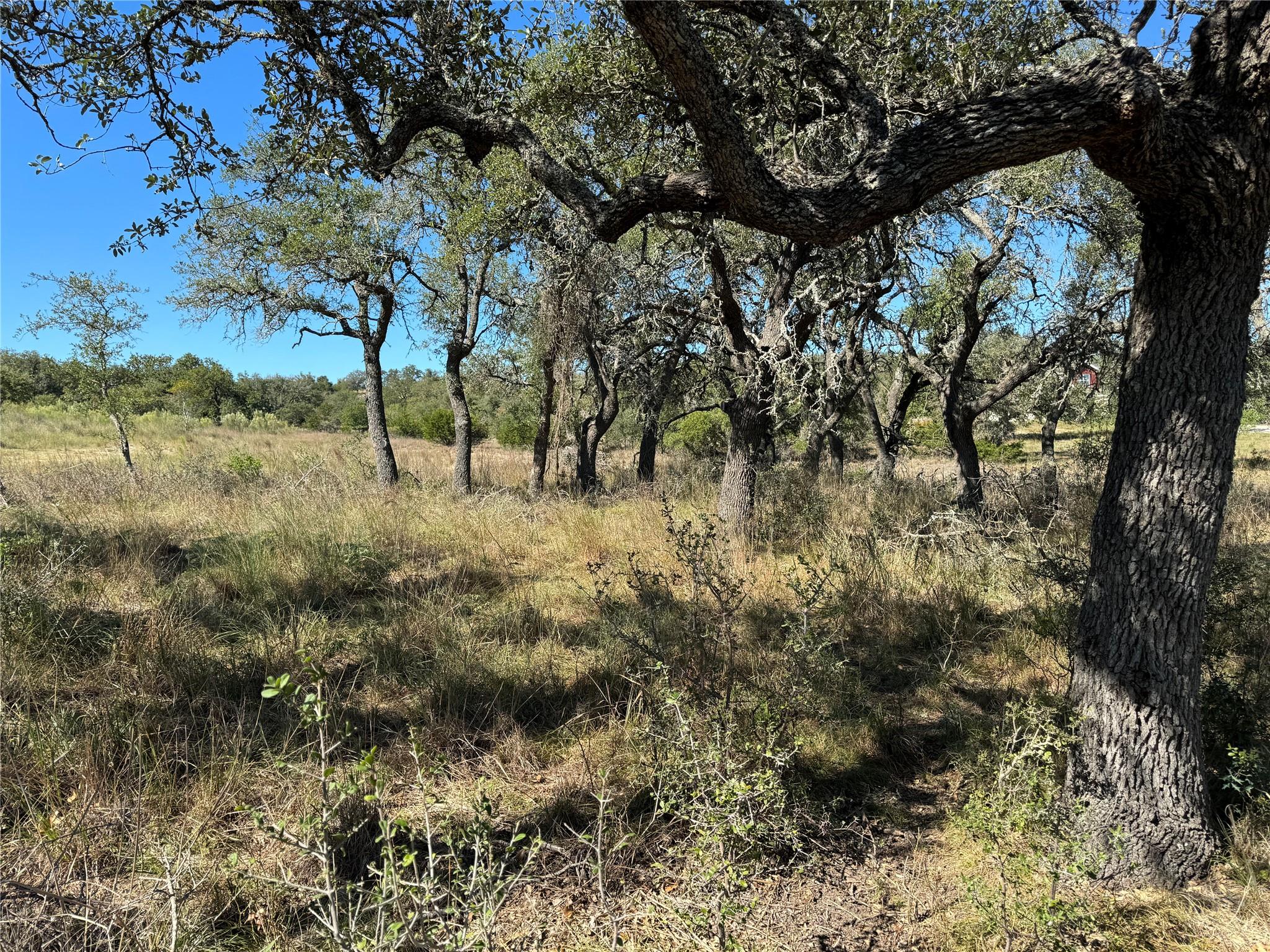 1717 Axis Cir, Fredericksburg, TX 78624