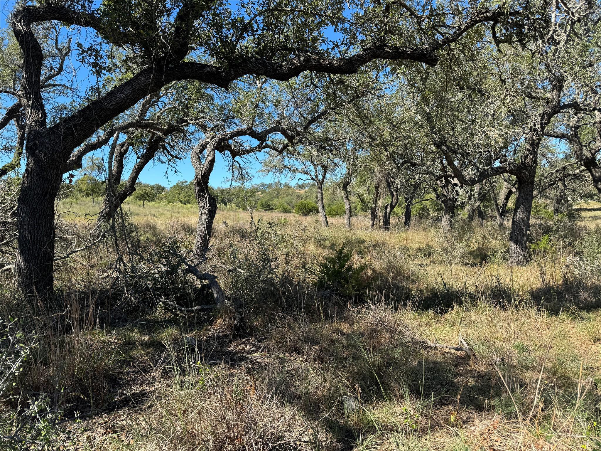 1717 Axis Cir, Fredericksburg, TX 78624