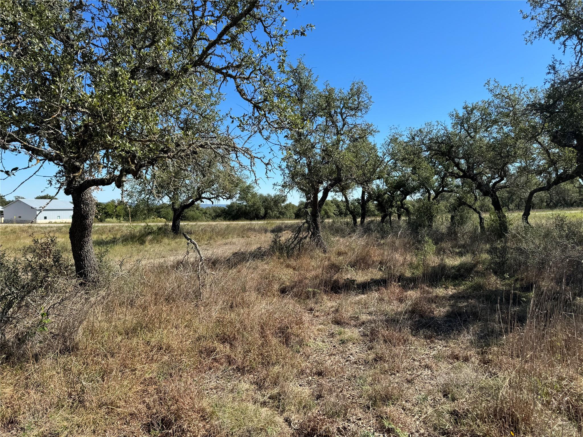 1717 Axis Cir, Fredericksburg, TX 78624