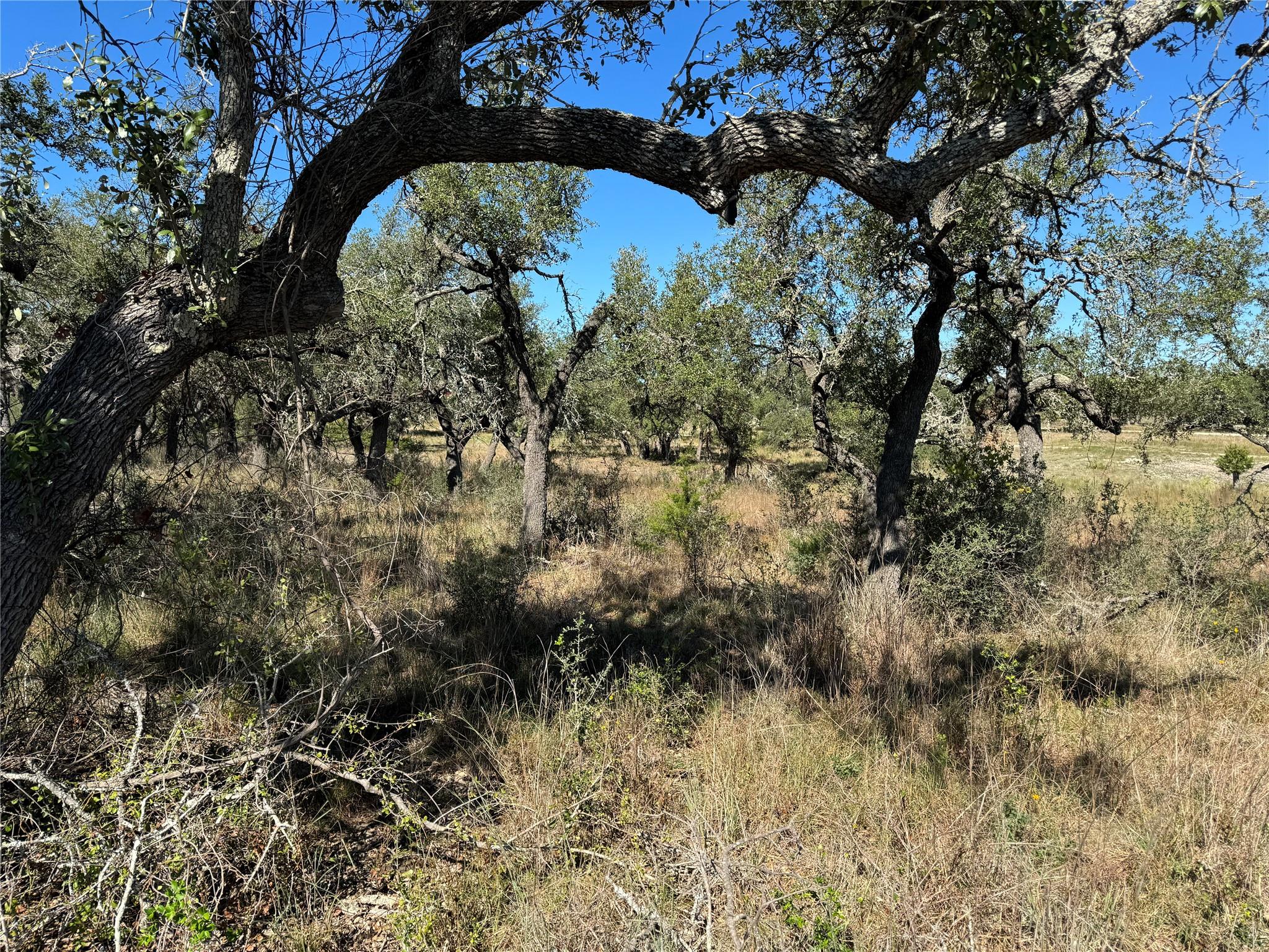 1717 Axis Cir, Fredericksburg, TX 78624