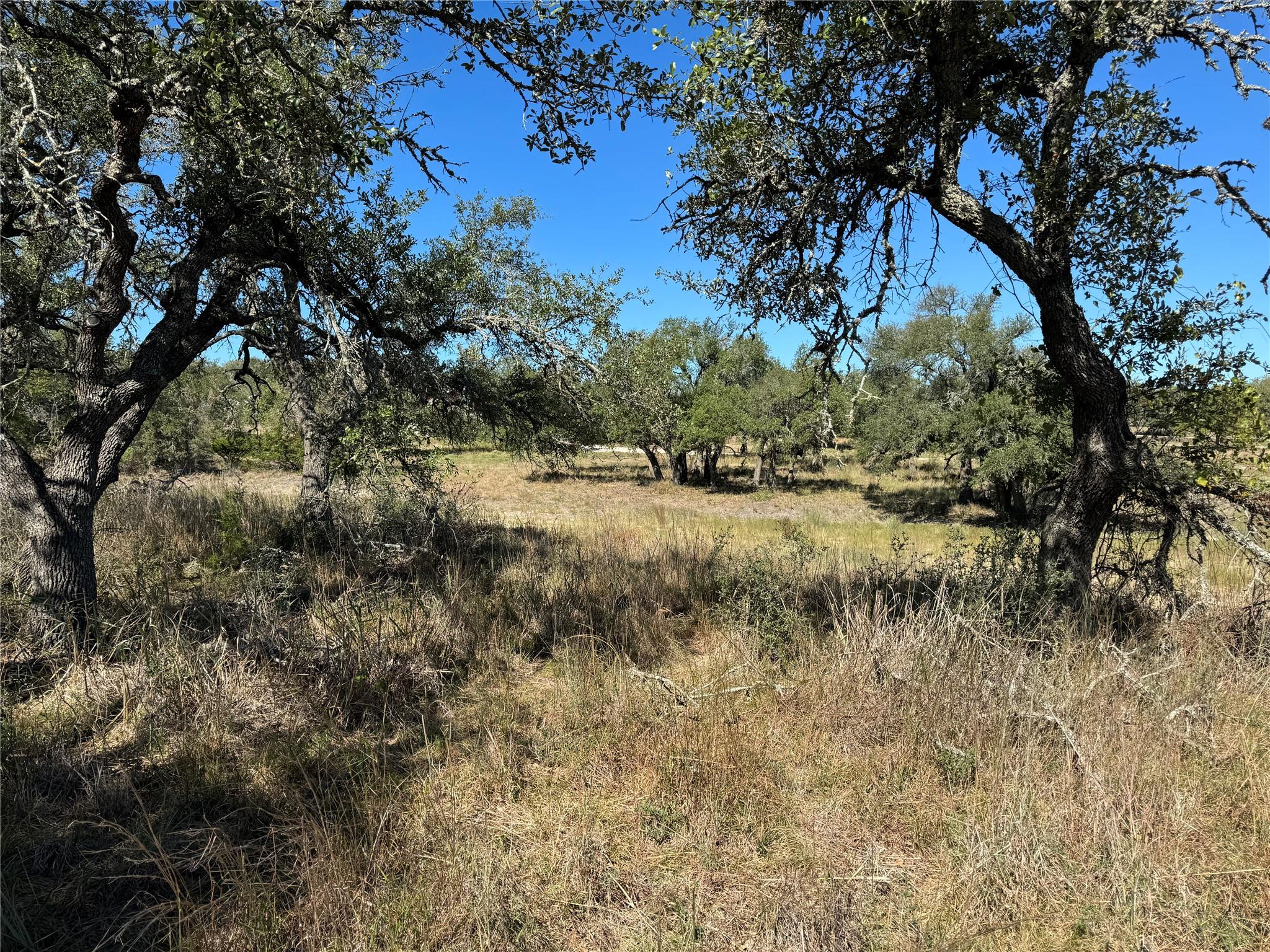 1717 Axis Cir, Fredericksburg, TX 78624