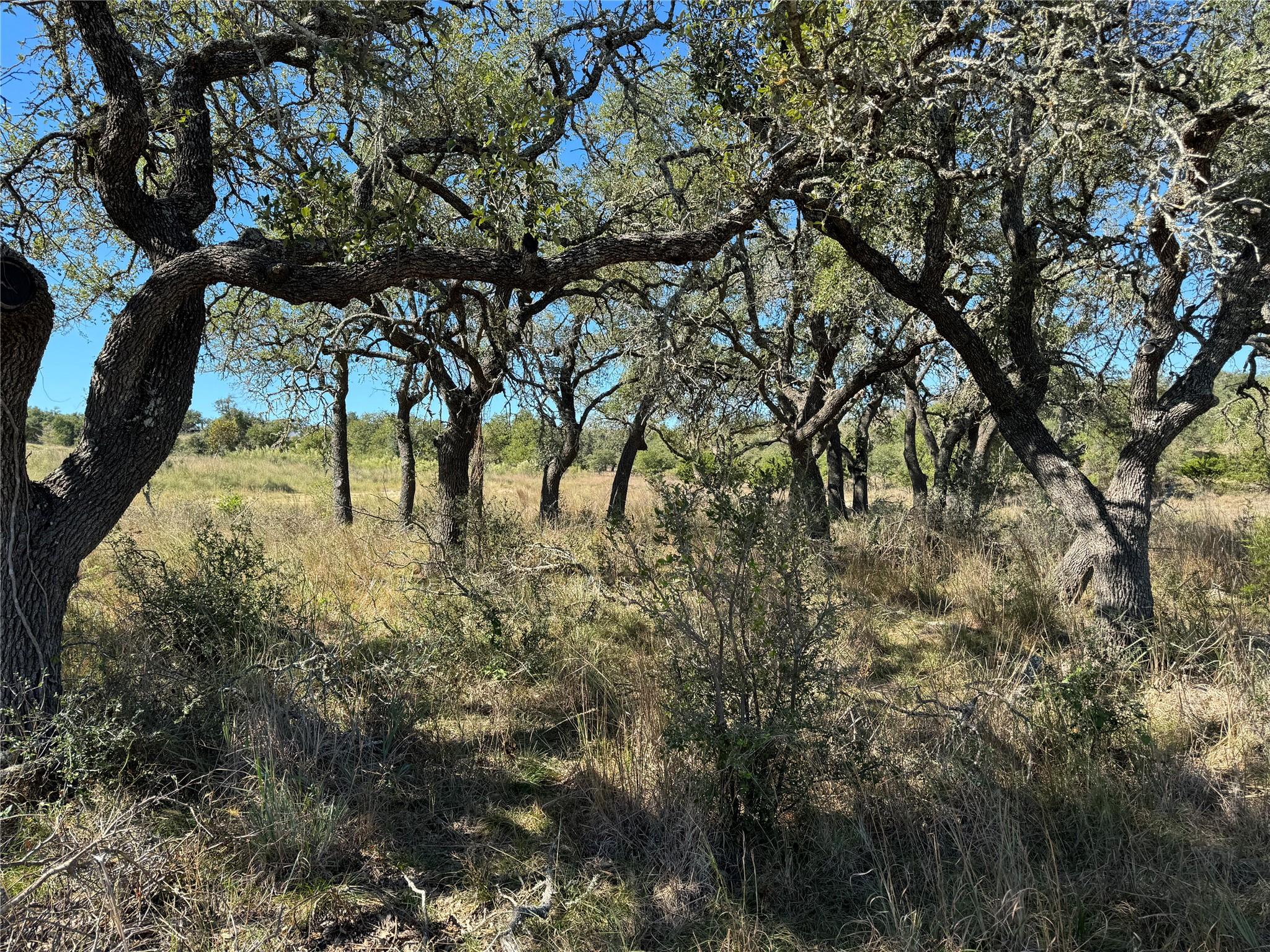 1717 Axis Cir, Fredericksburg, TX 78624