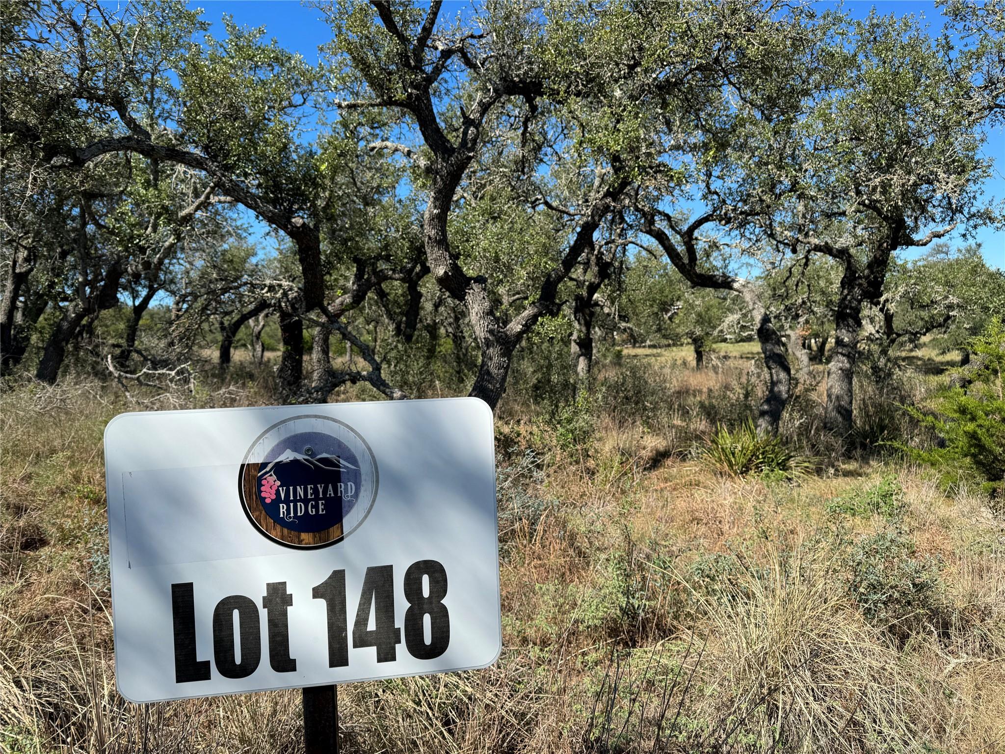 1717 Axis Cir, Fredericksburg, TX 78624