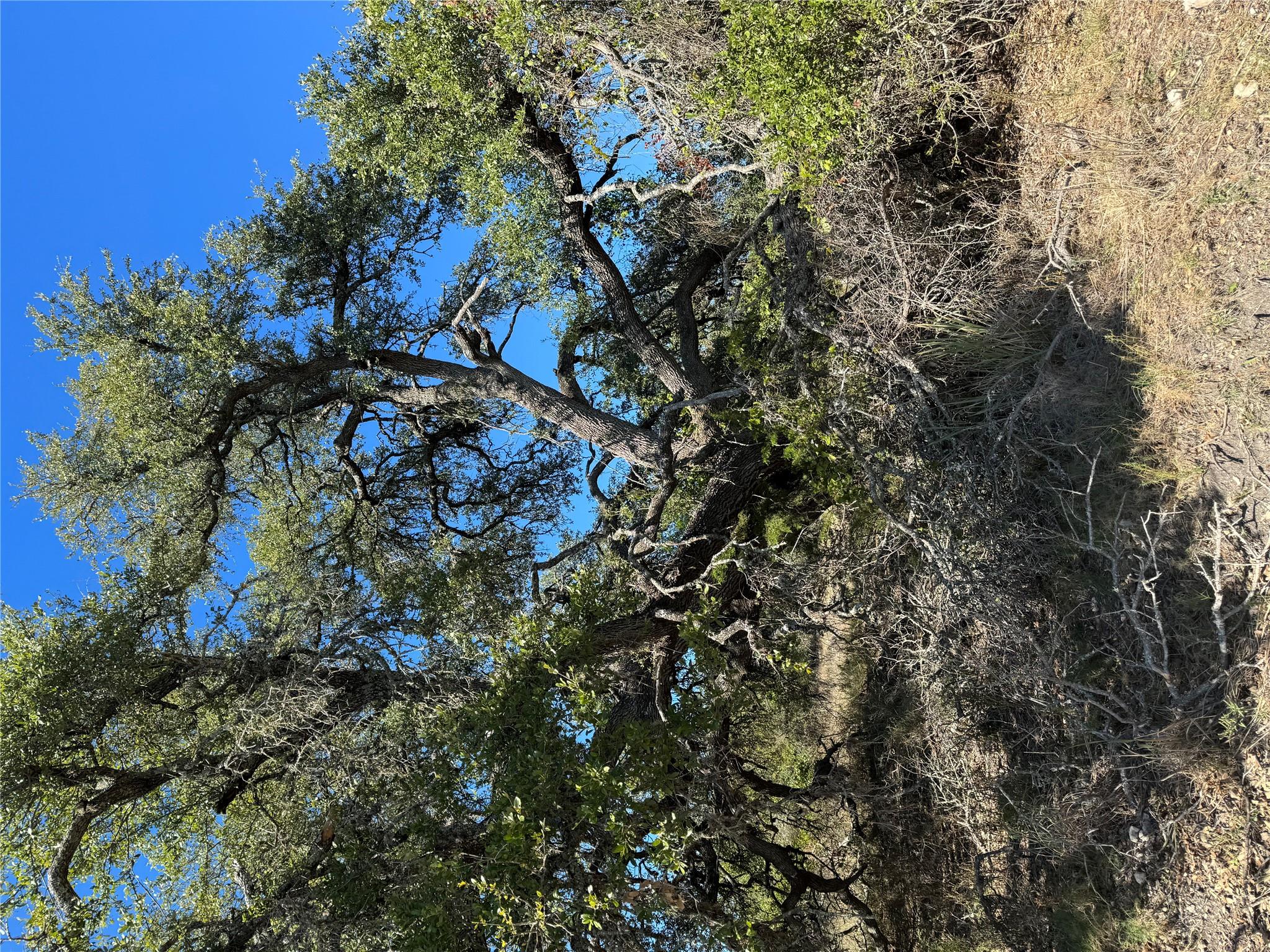 1717 Axis Cir, Fredericksburg, TX 78624