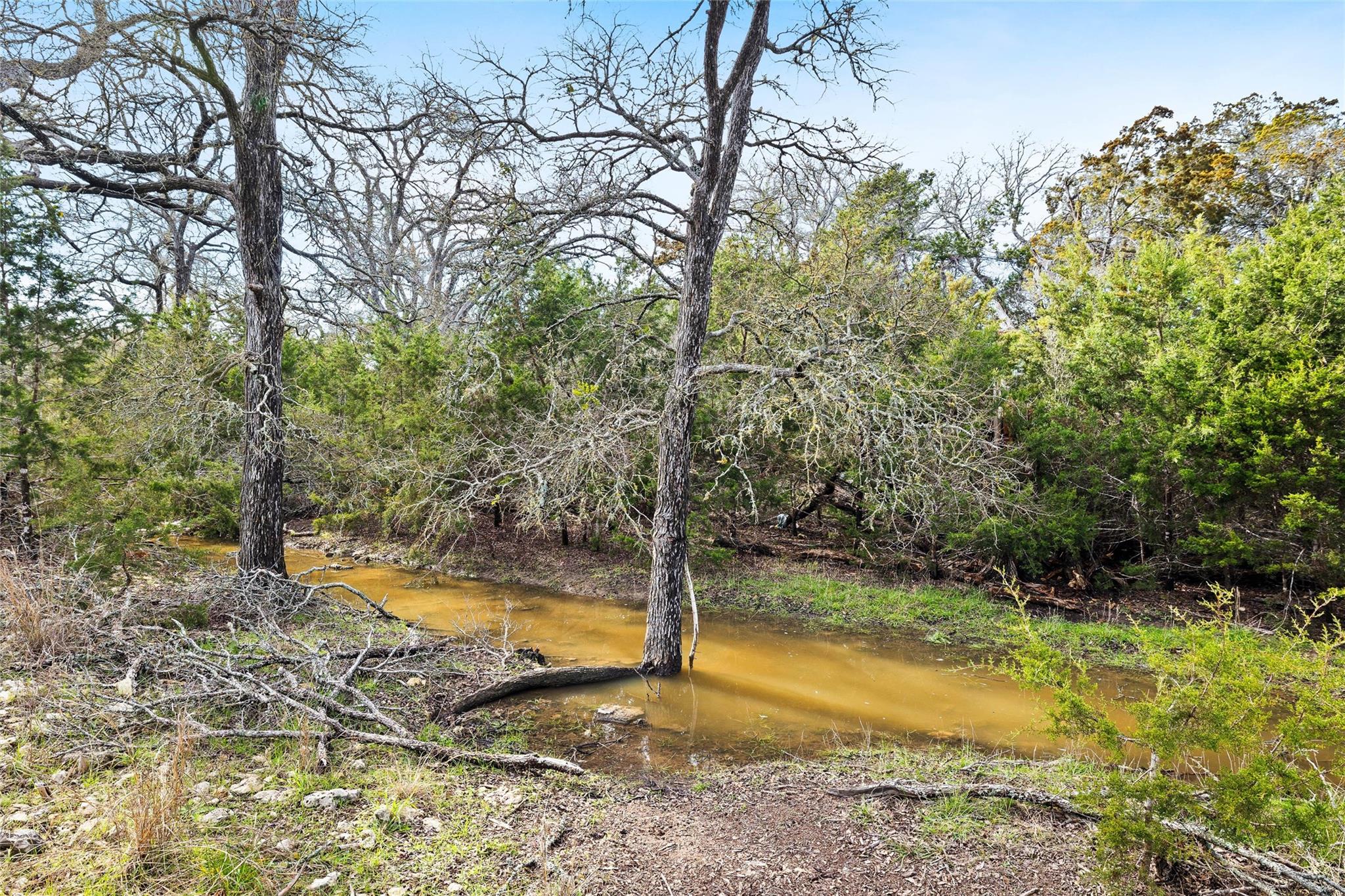 262 Beauchamp Rd, Dripping Springs, TX 78620