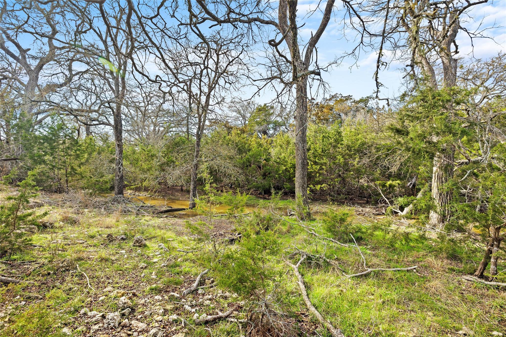 262 Beauchamp Rd, Dripping Springs, TX 78620