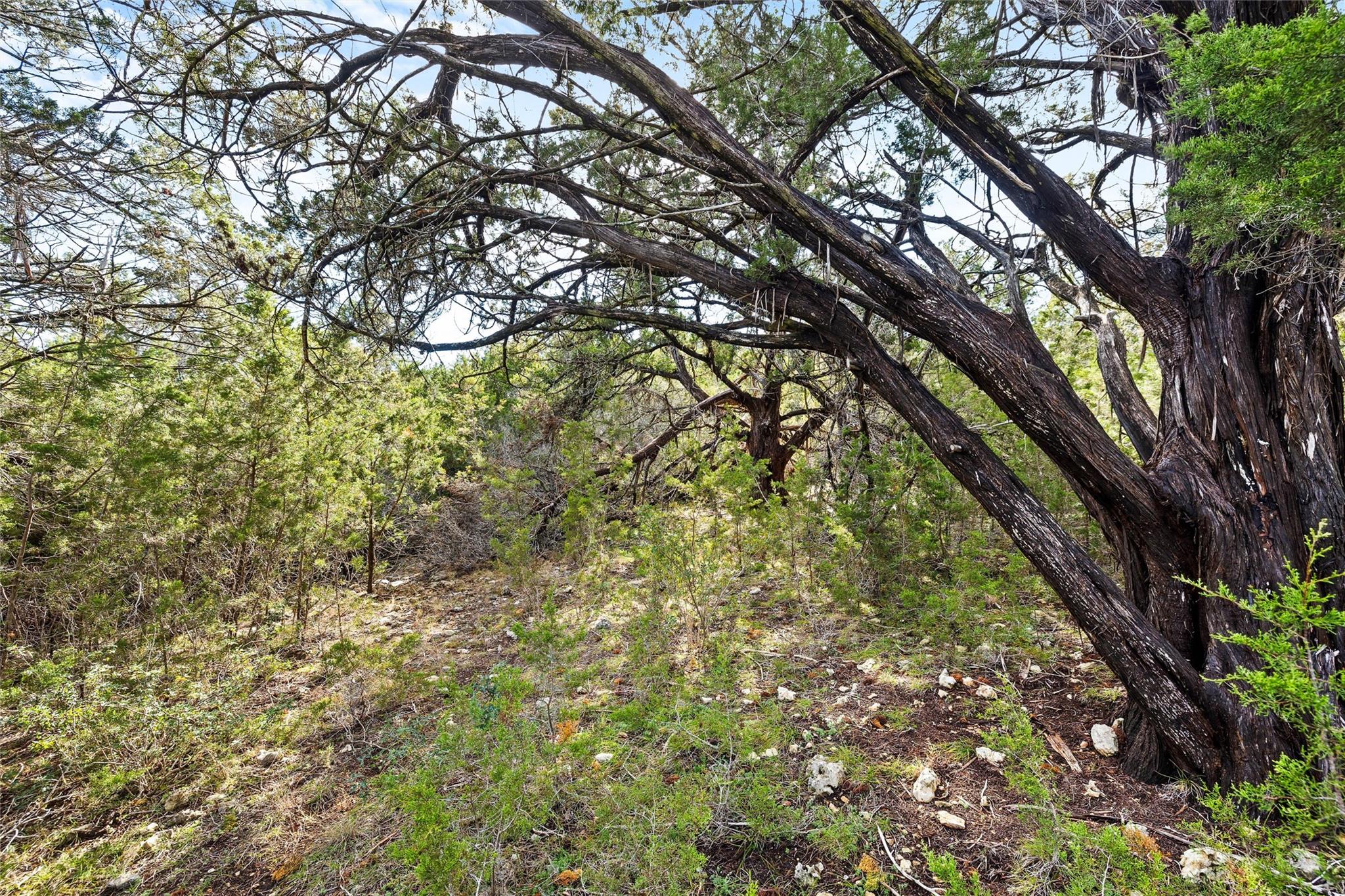 262 Beauchamp Rd, Dripping Springs, TX 78620