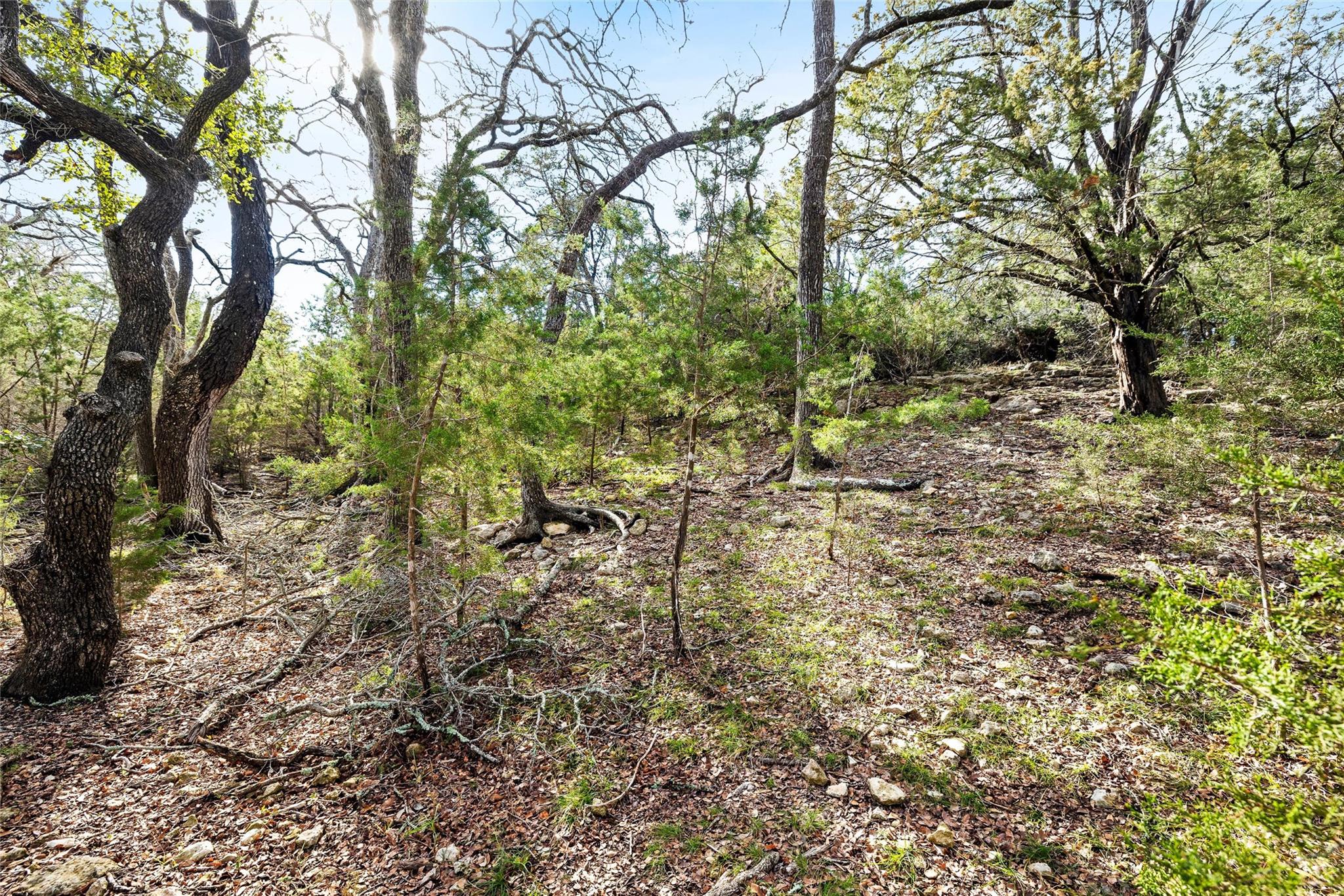 262 Beauchamp Rd, Dripping Springs, TX 78620