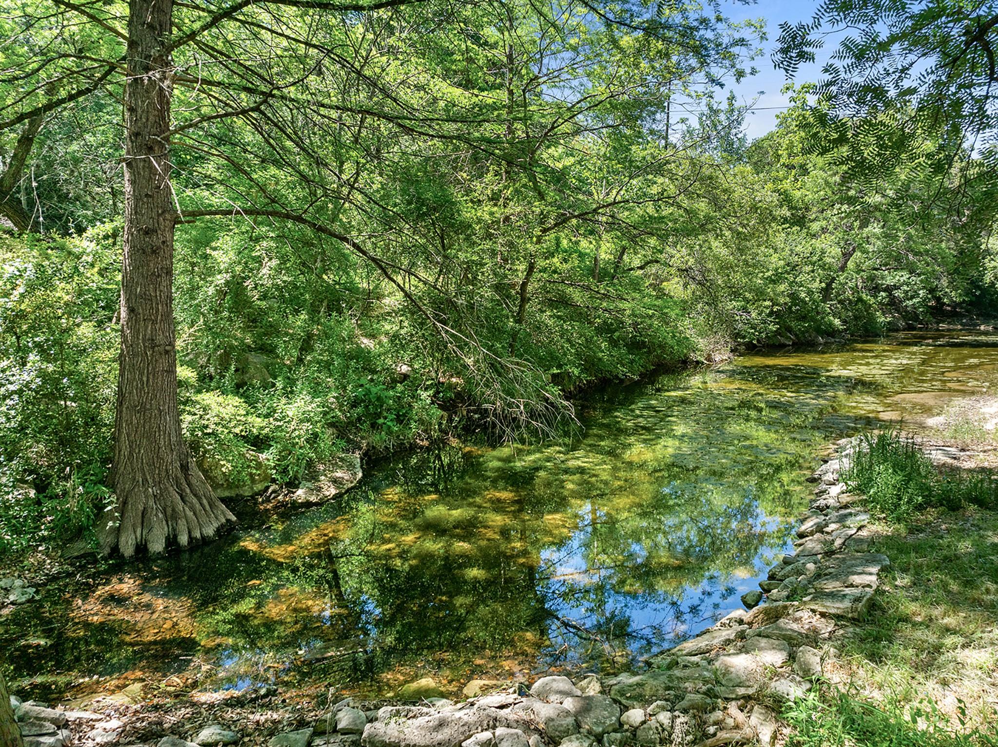 1 Shadybrook Cv, Austin, TX 78746