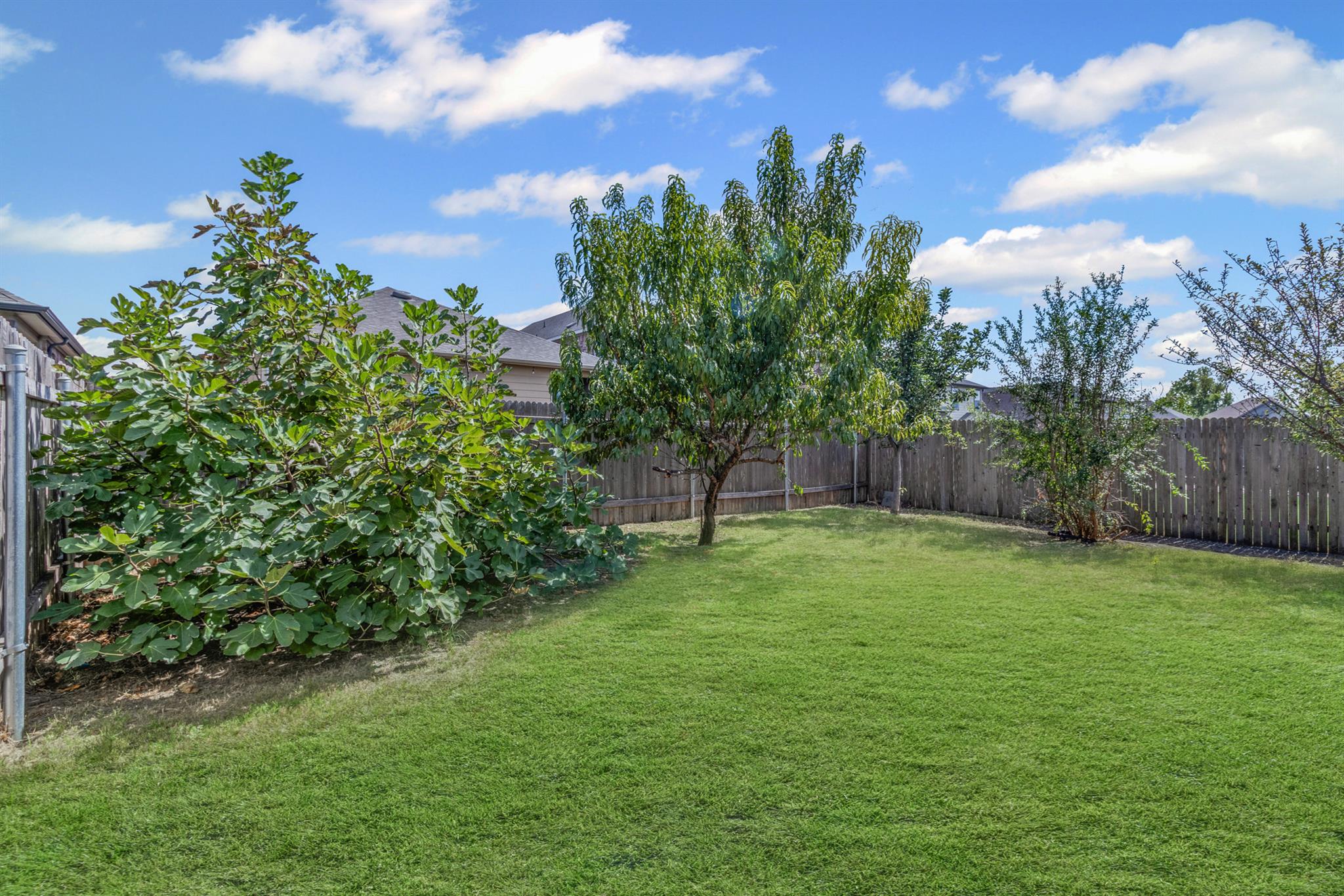 17015 Gibbons Path, Round Rock, TX 78664