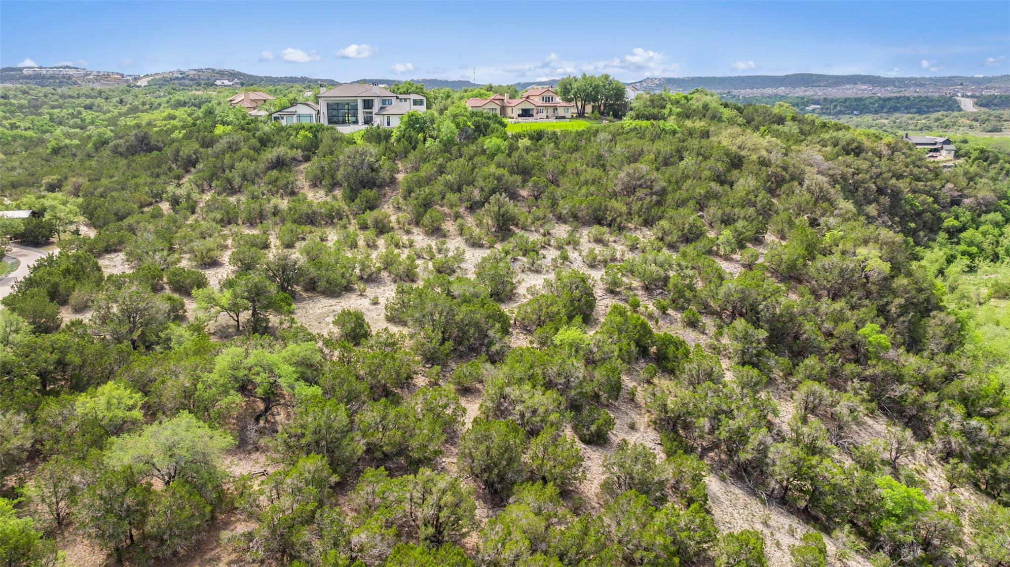 19401 Tessa Heights Ln, Spicewood, TX 78669