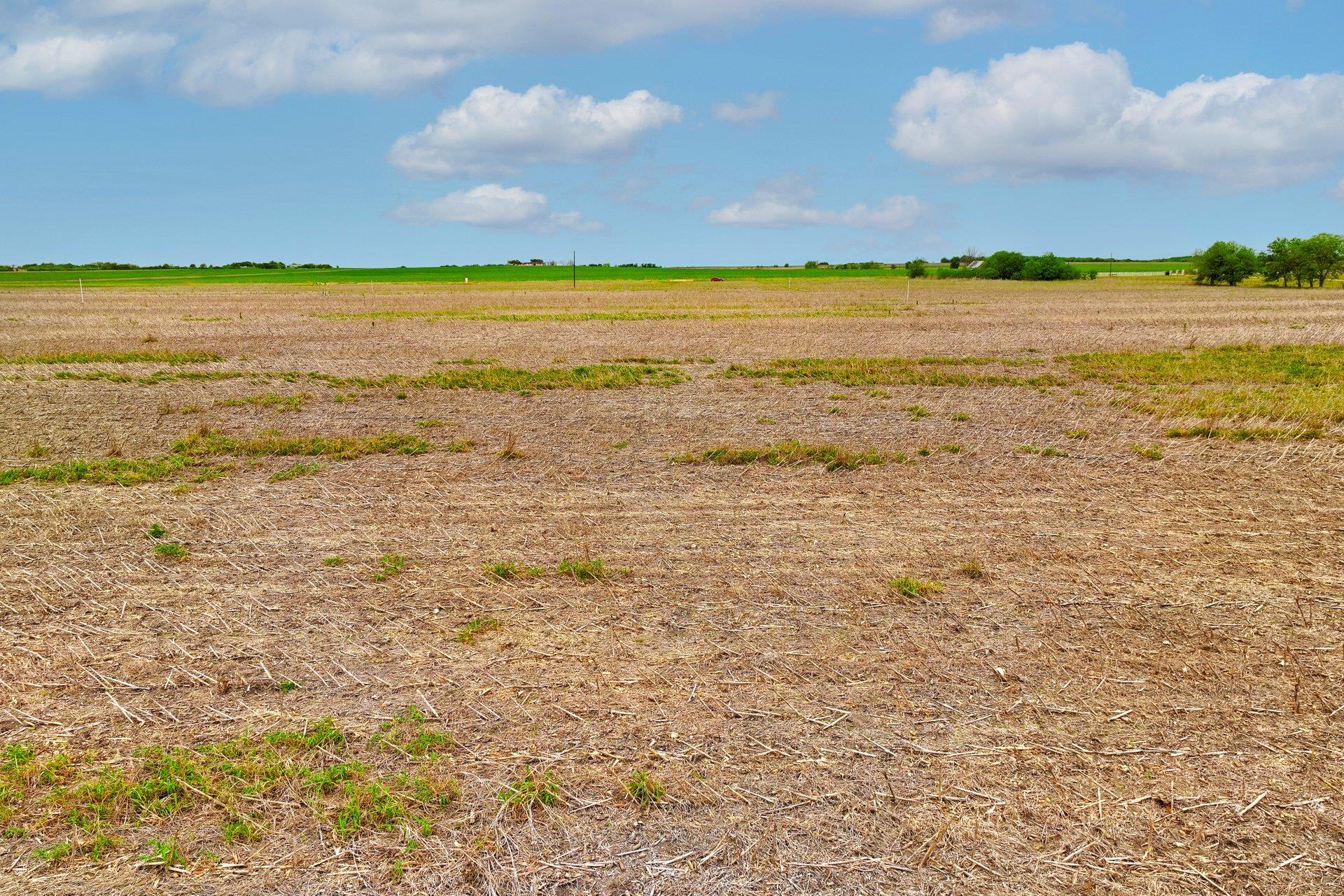 2944 County Road 425, Thorndale, TX 76577