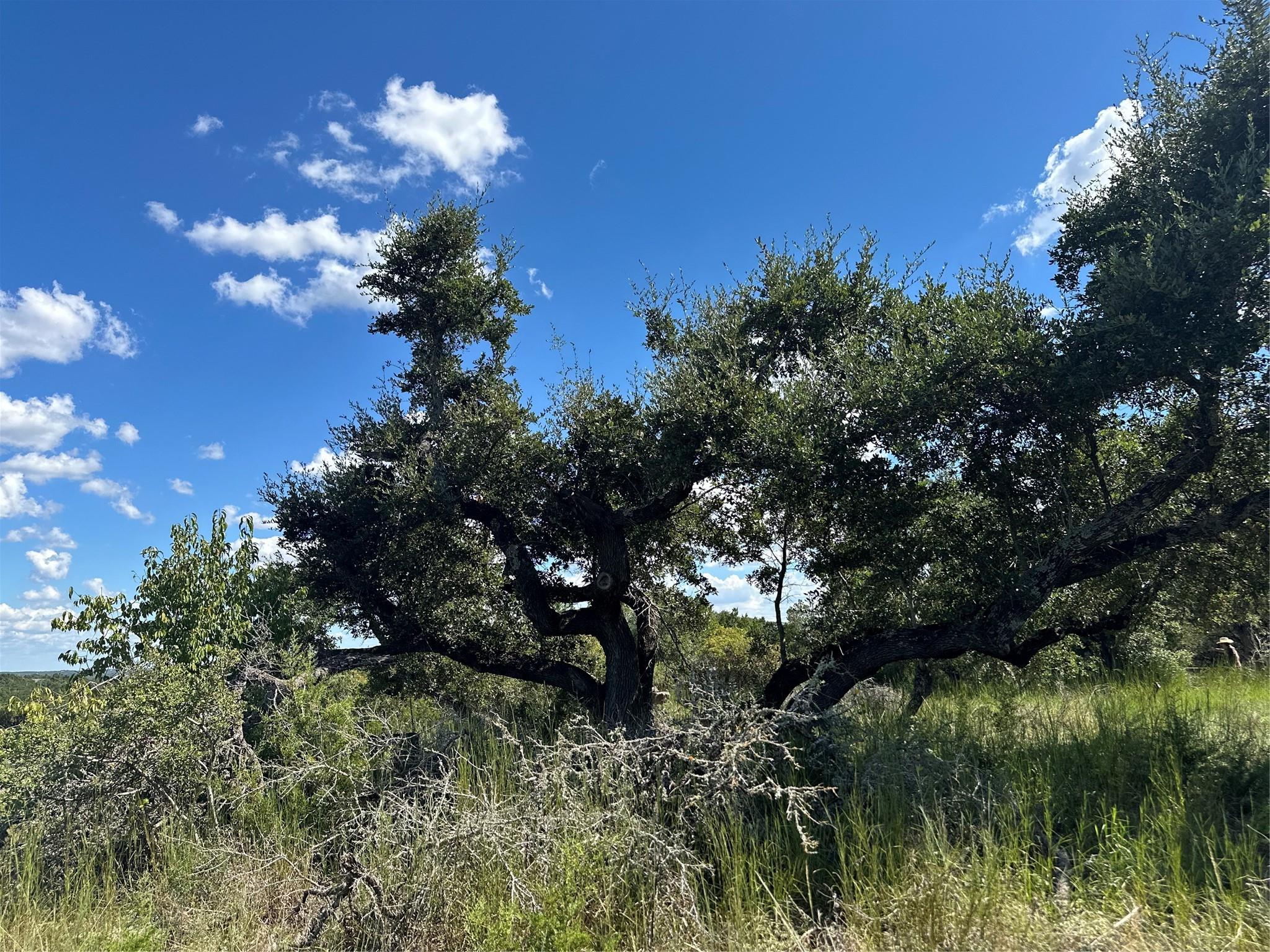 17600 Westlake Dr, Dripping Springs, TX 78620