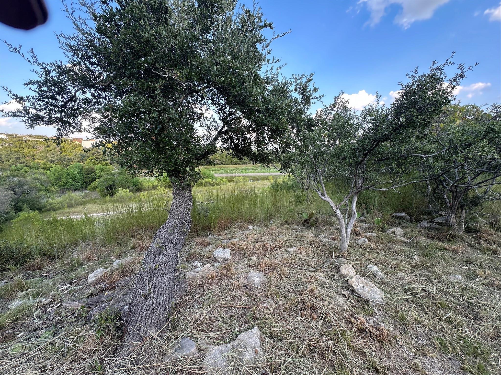 17600 Westlake Dr, Dripping Springs, TX 78620