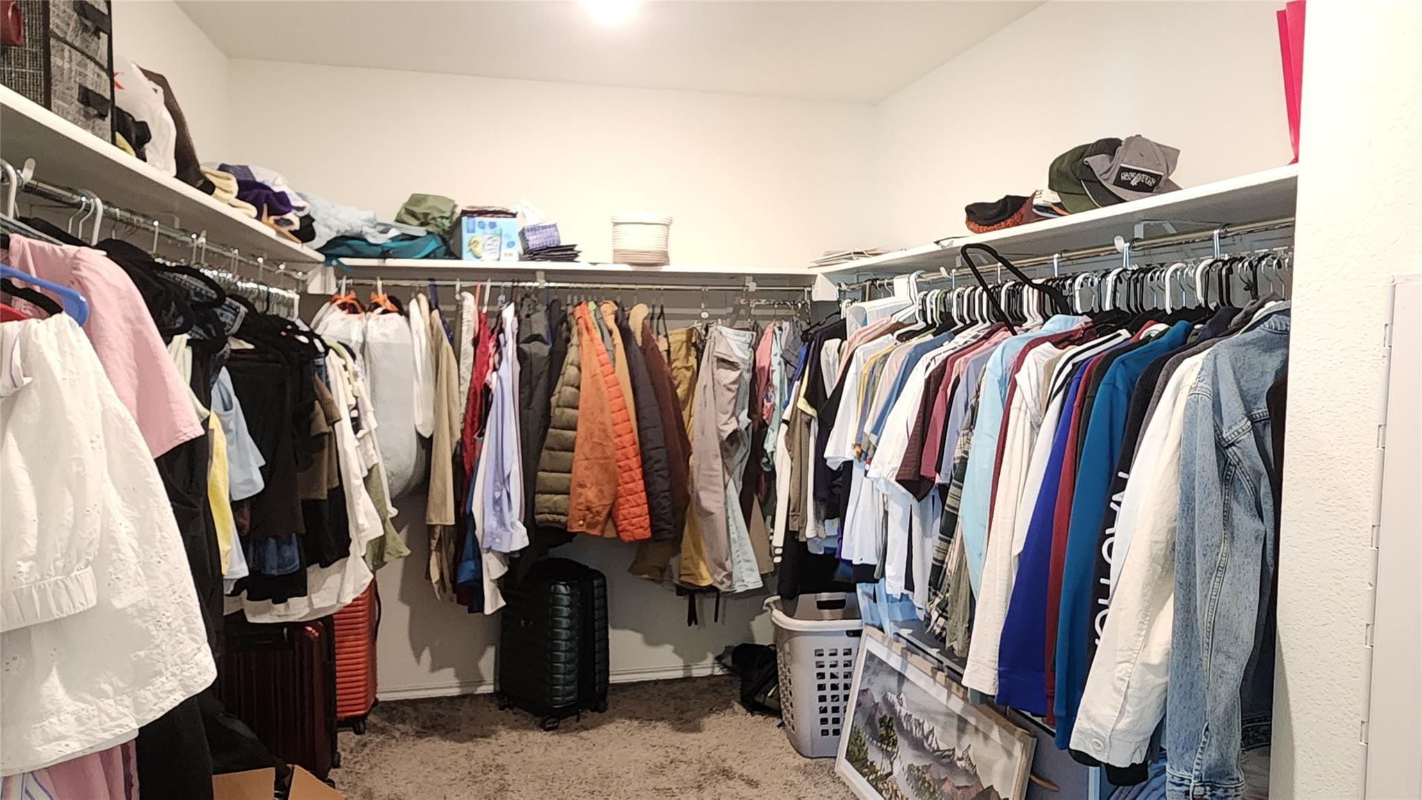 402 Parrot Tulip Vw, Pflugerville, TX 78660