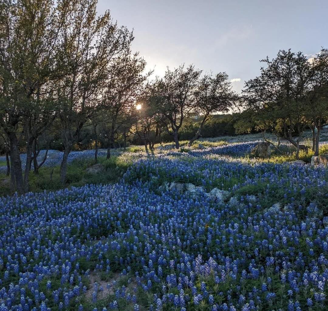 4115 NOON DAY Cv, Spicewood, TX 78669