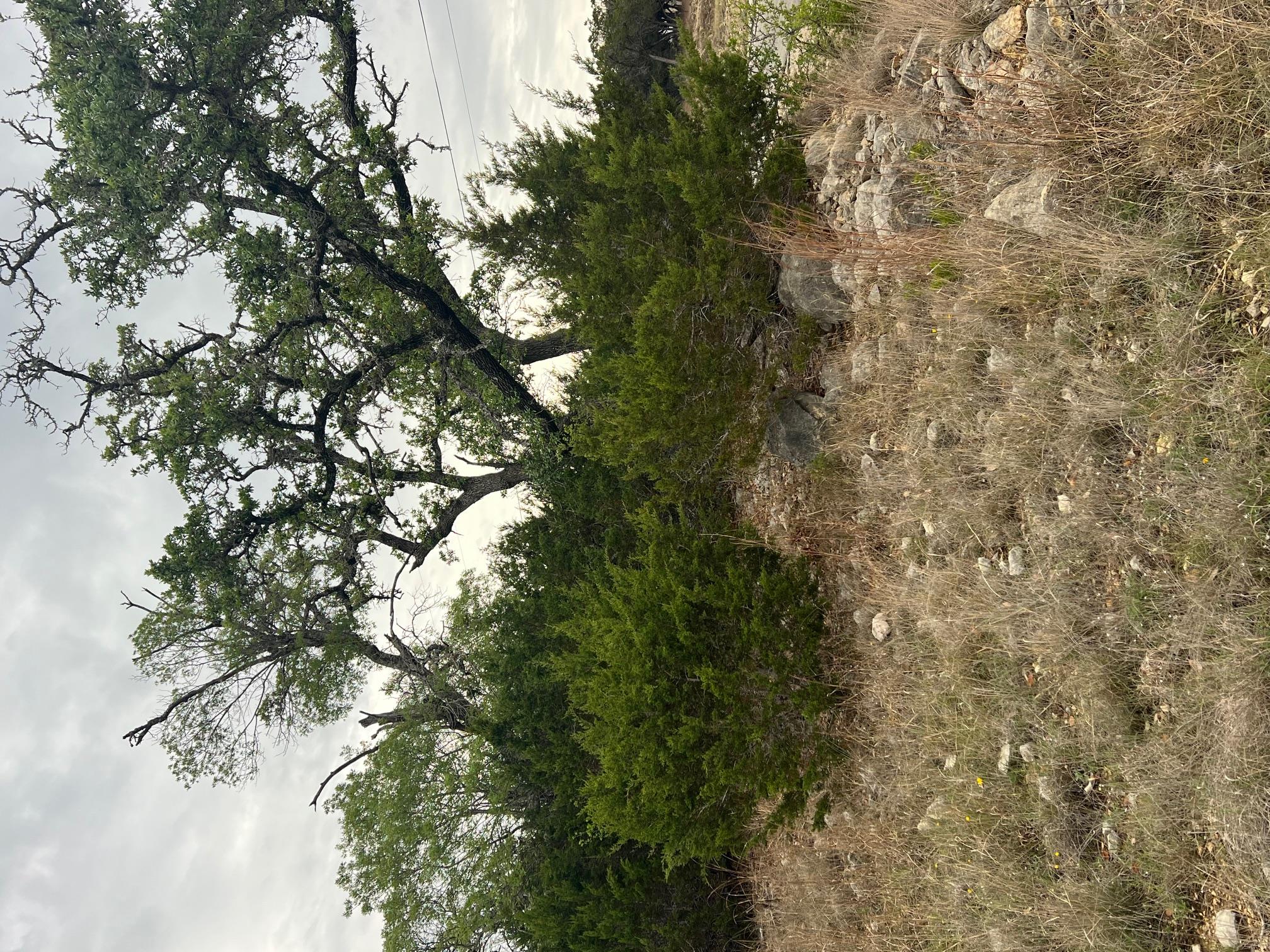 1022 Broken Spoke, Canyon Lake, TX 78133