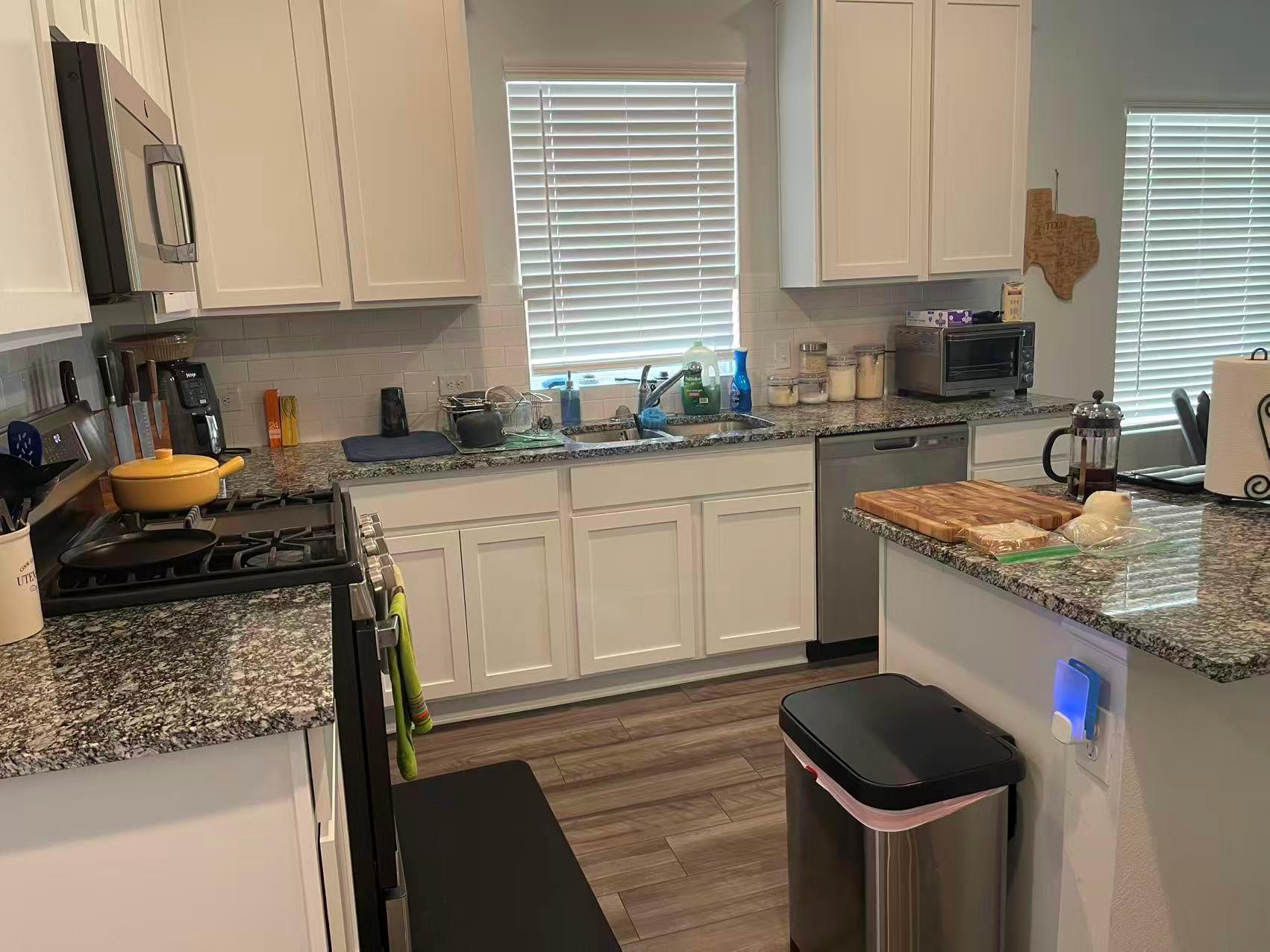 141 Mammoth Dr, Kyle, TX 78640