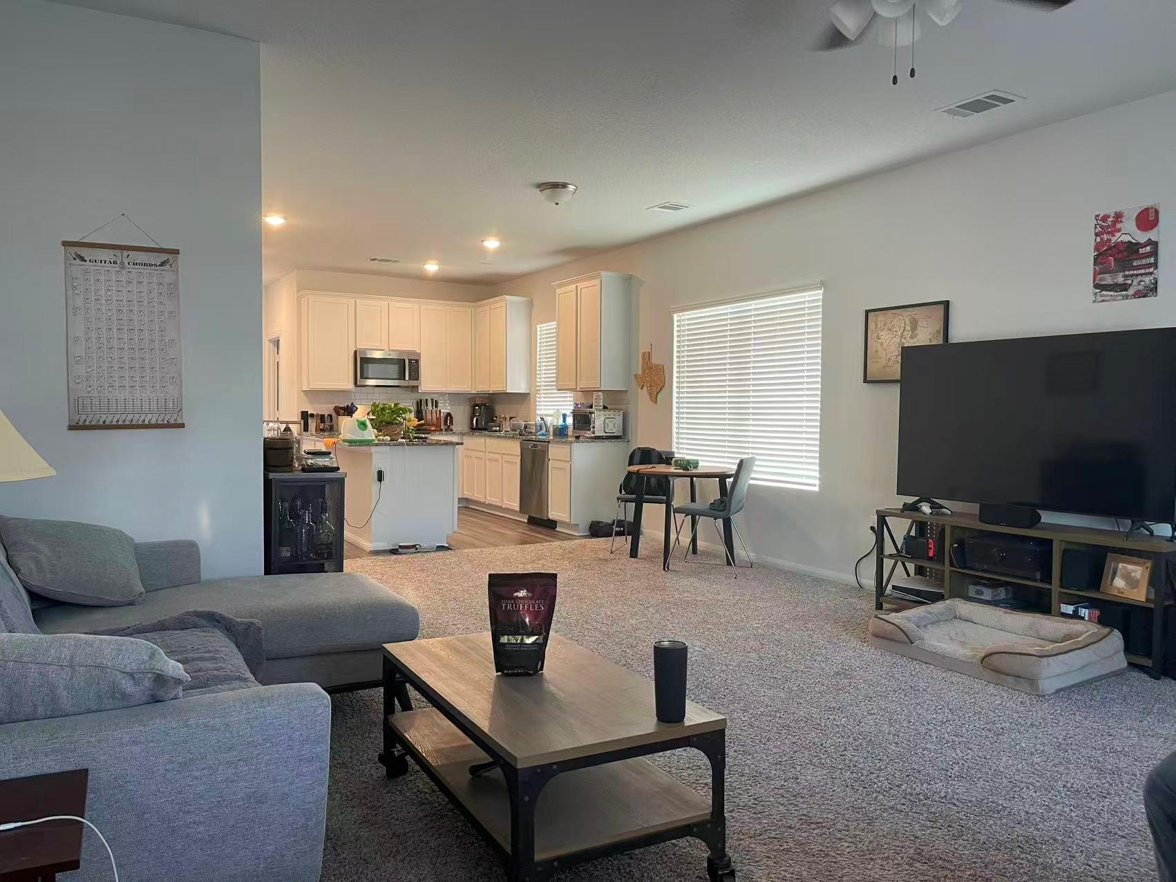 141 Mammoth Dr, Kyle, TX 78640