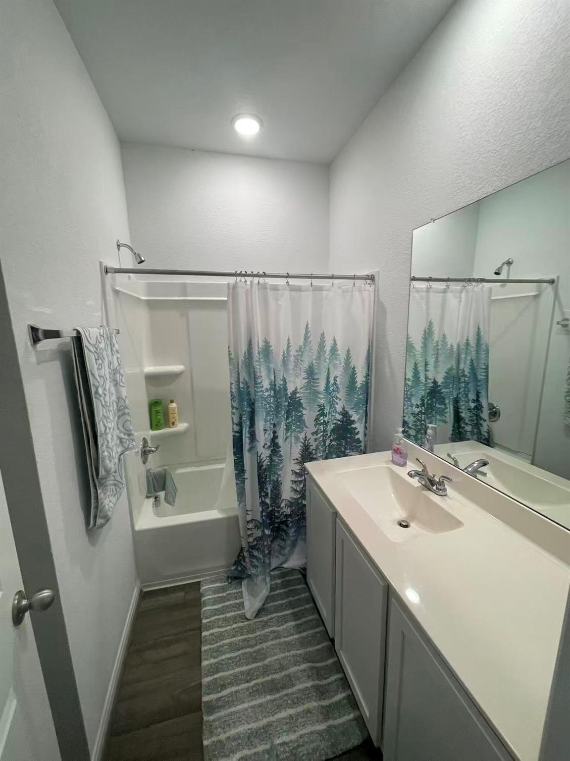 141 Mammoth Dr, Kyle, TX 78640