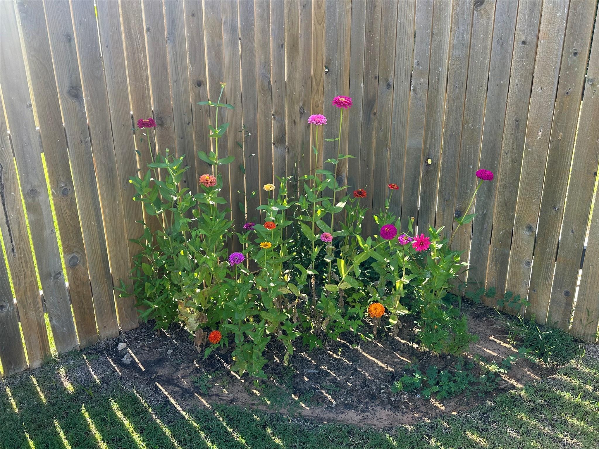 202 Big Sandy Creek Dr, Hutto, TX 78634