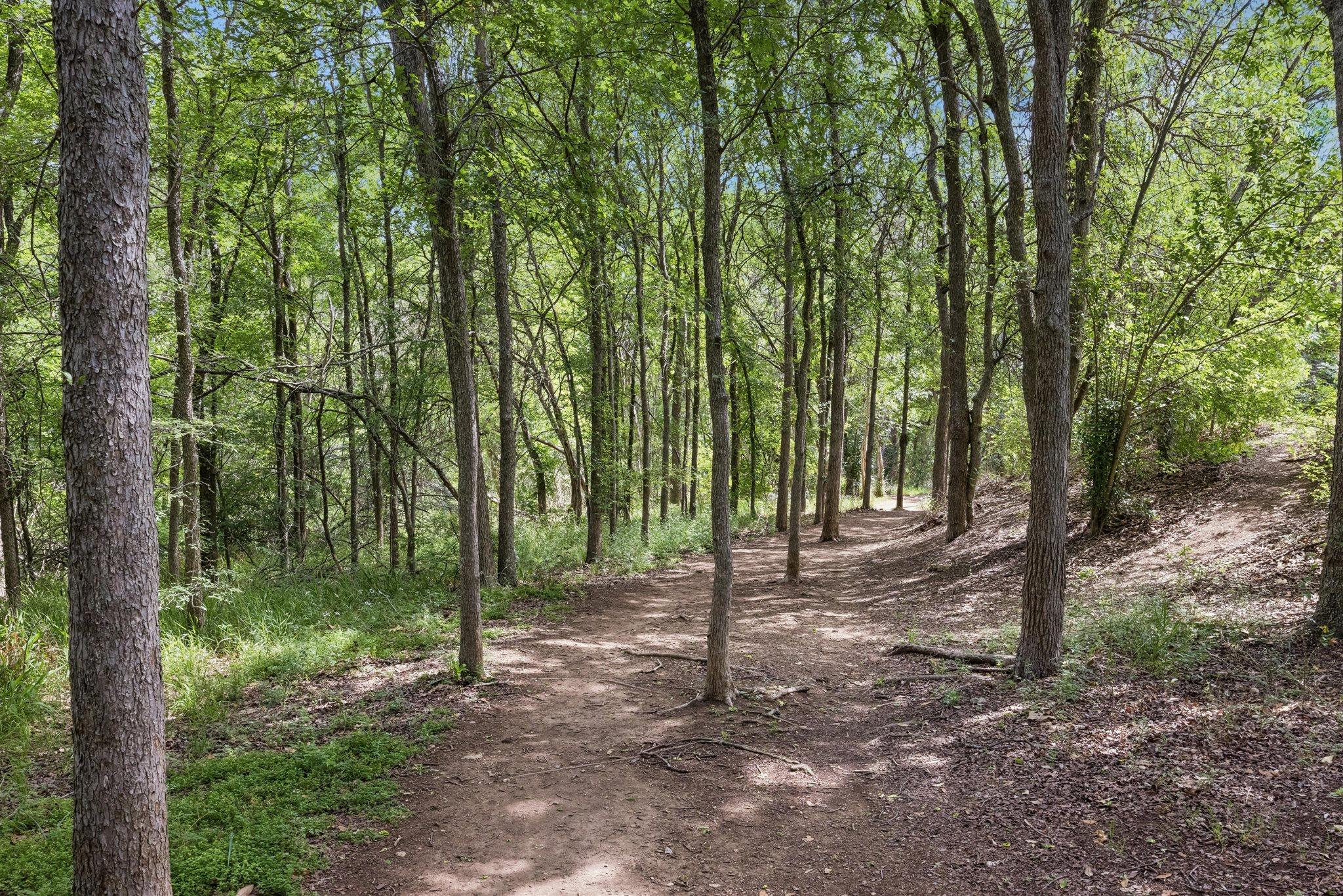 8317 Empress Blvd, Austin, TX 78745