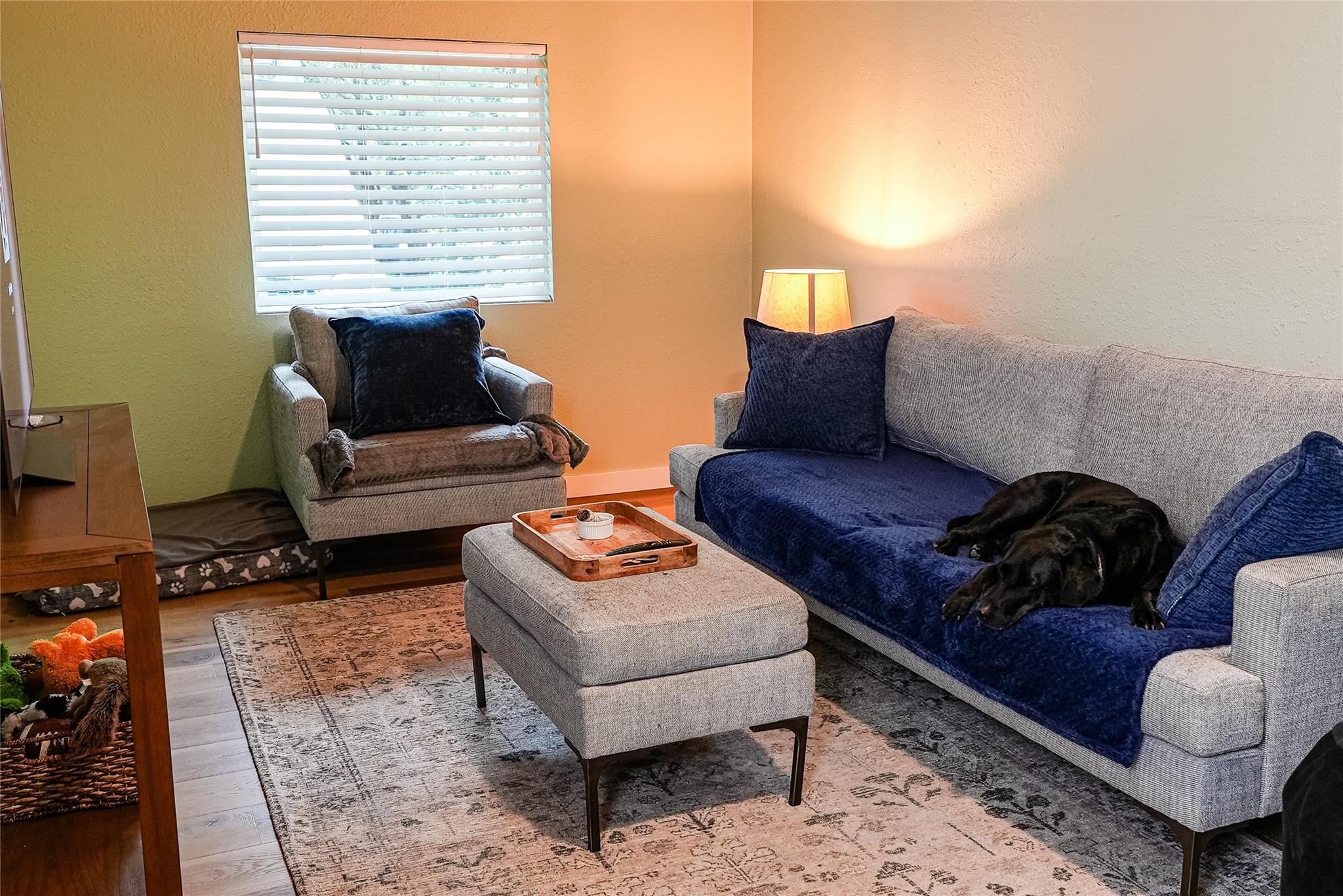 204 Chippendale Ave, Austin, TX 78745