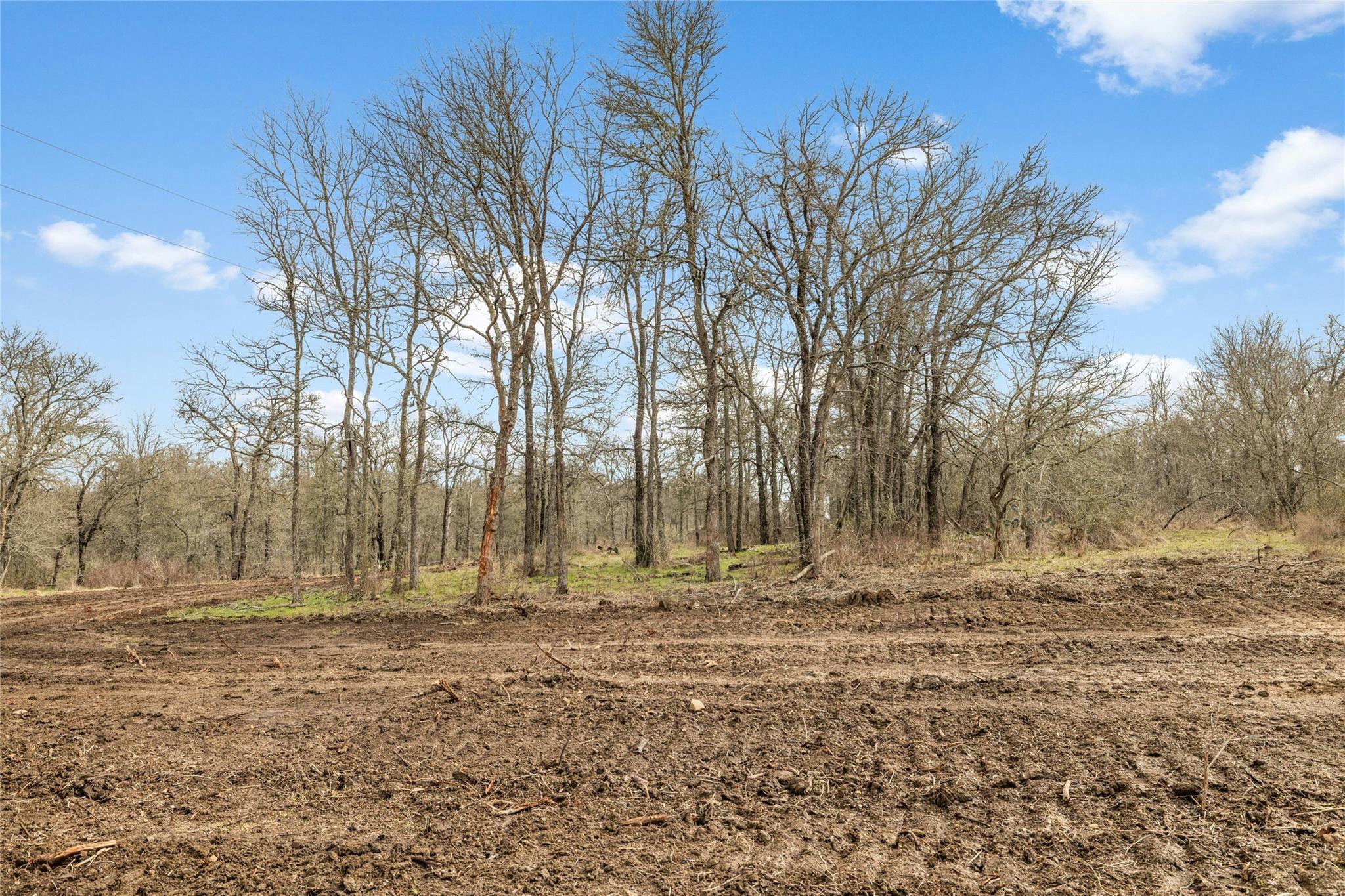 747 County Road 467, Thrall, TX 76578