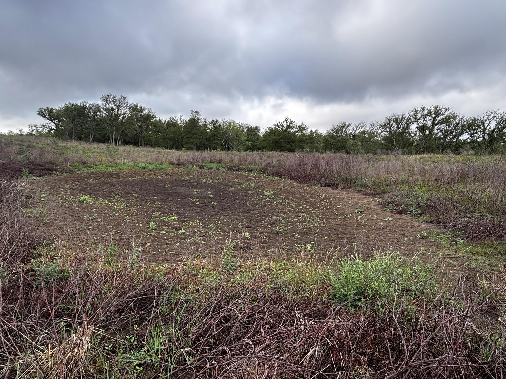 747 County Road 467, Thrall, TX 76578