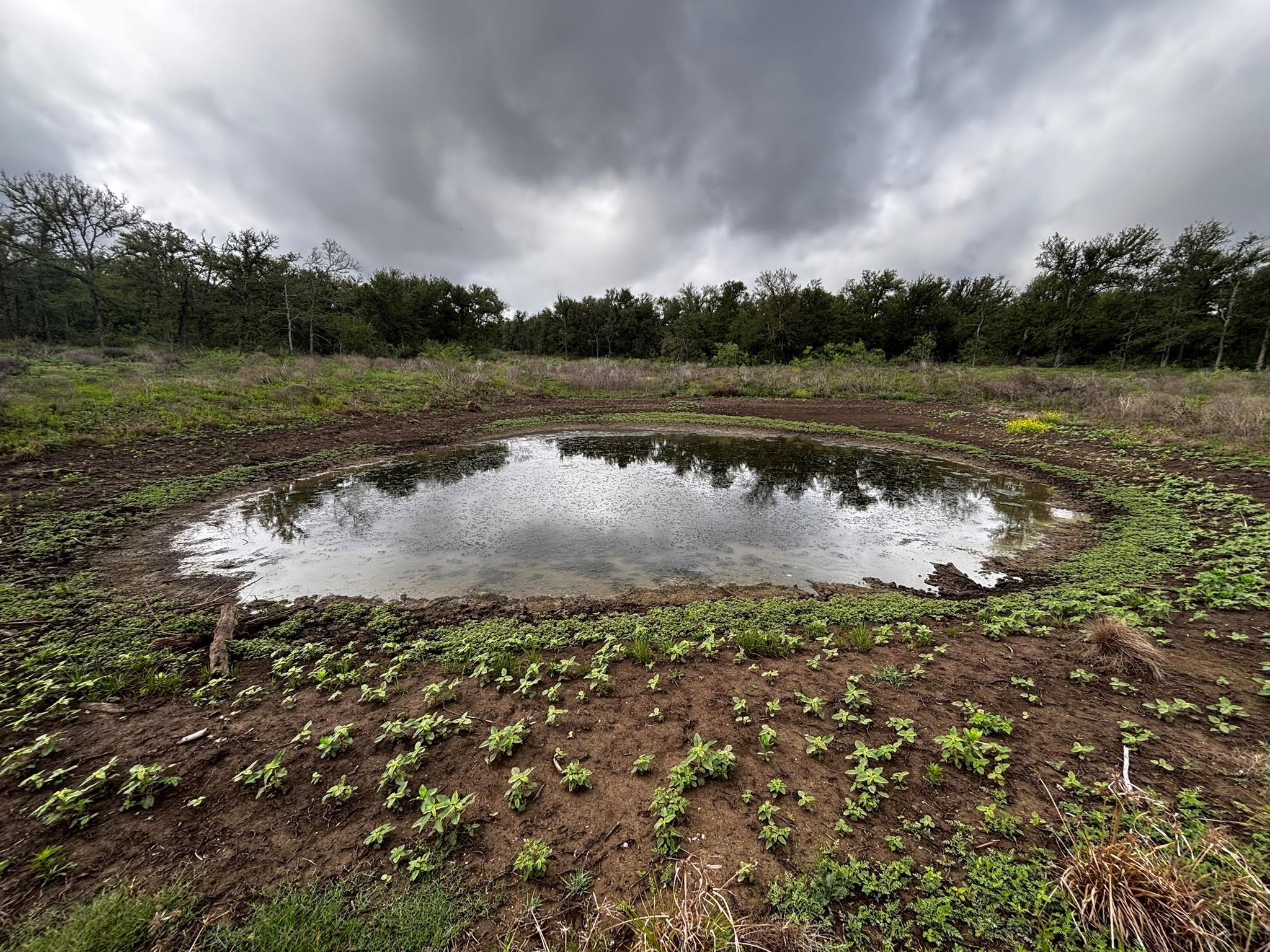 747 County Road 467, Thrall, TX 76578