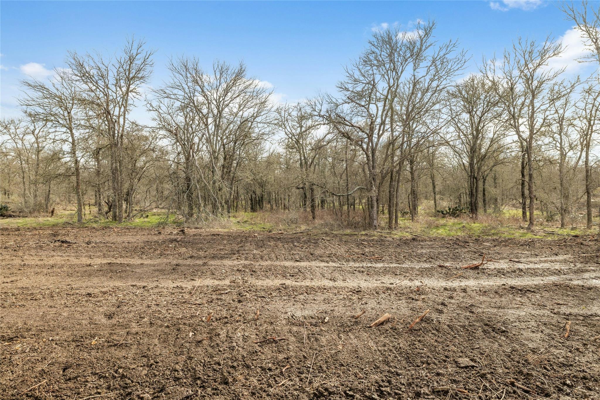 747 County Road 467, Thrall, TX 76578