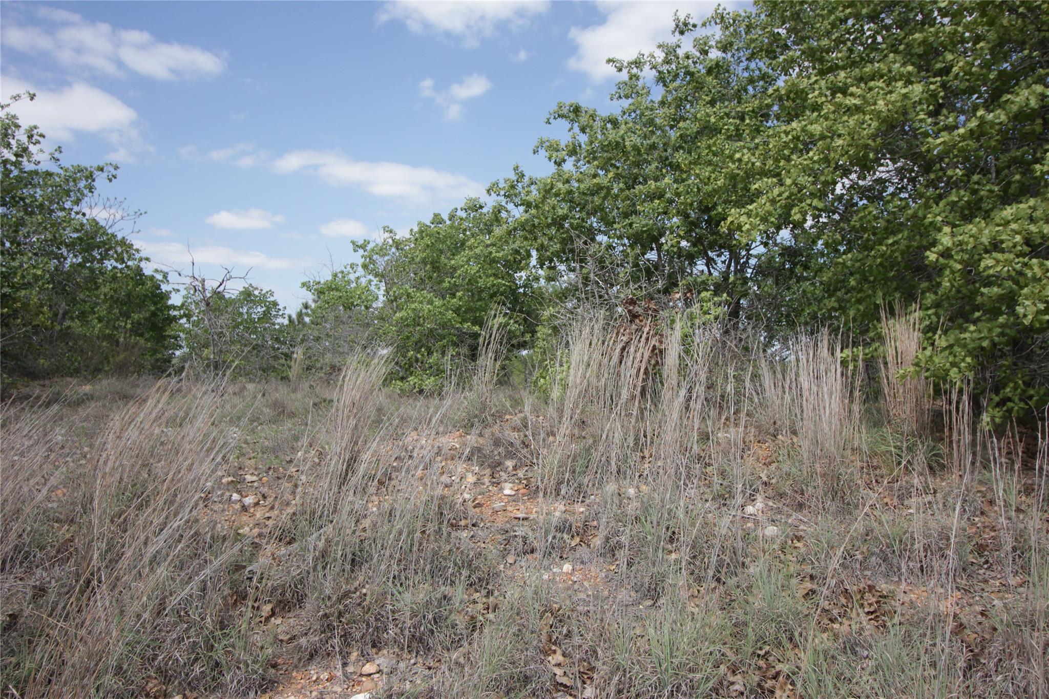 TBD River Forest Dr, Bastrop, TX 78602
