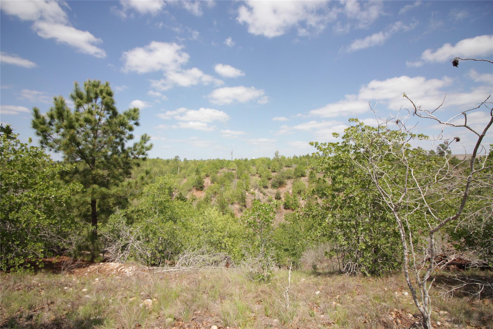 TBD River Forest Dr, Bastrop, TX 78602