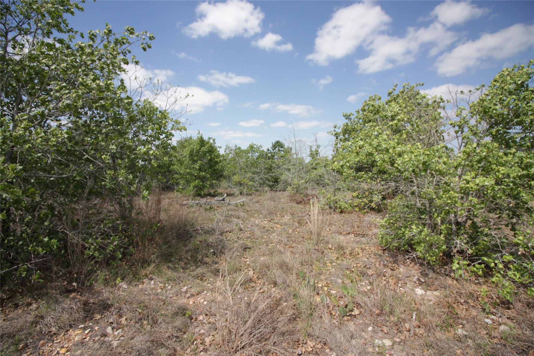 TBD River Forest Dr, Bastrop, TX 78602