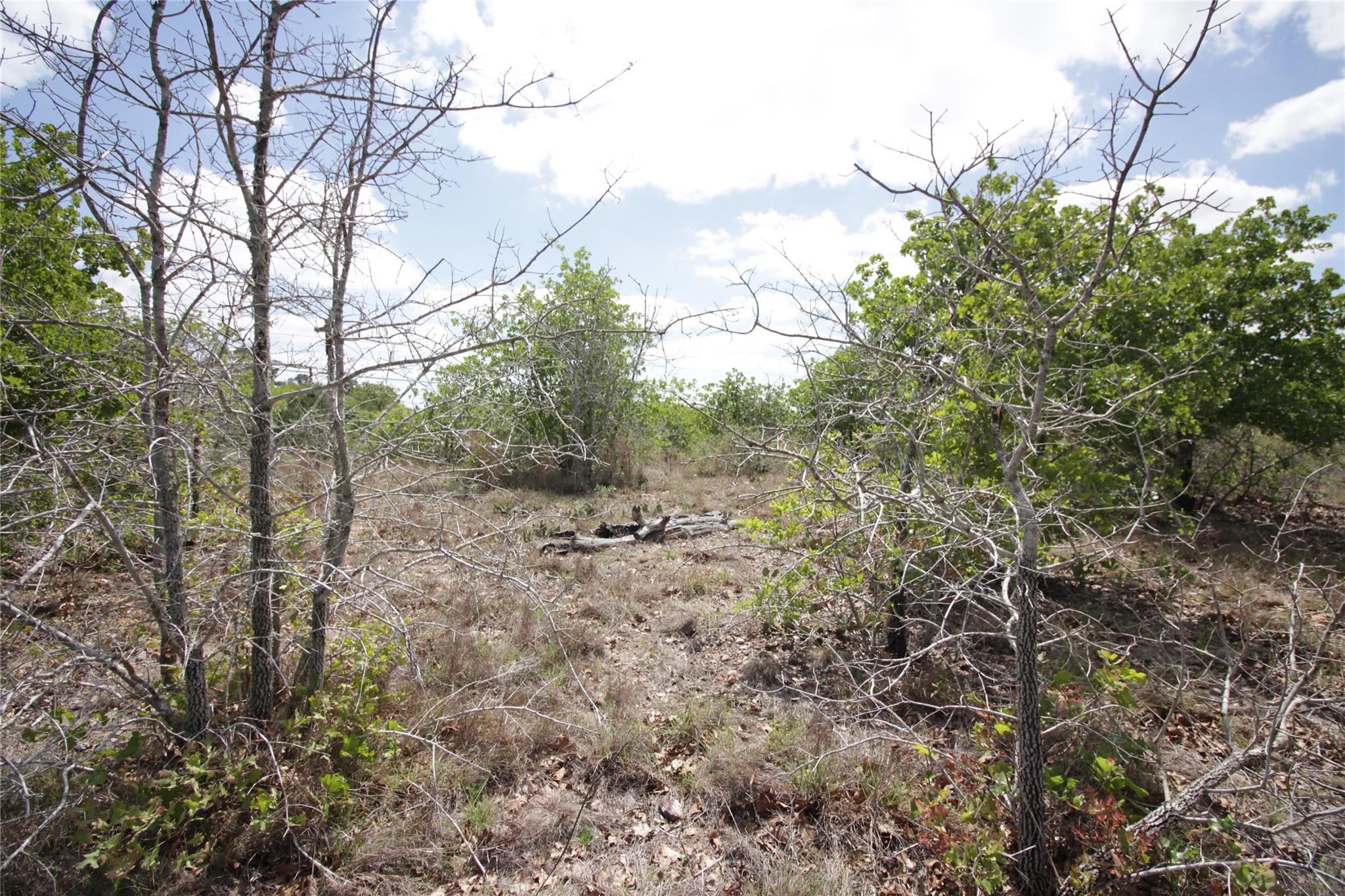 TBD River Forest Dr, Bastrop, TX 78602