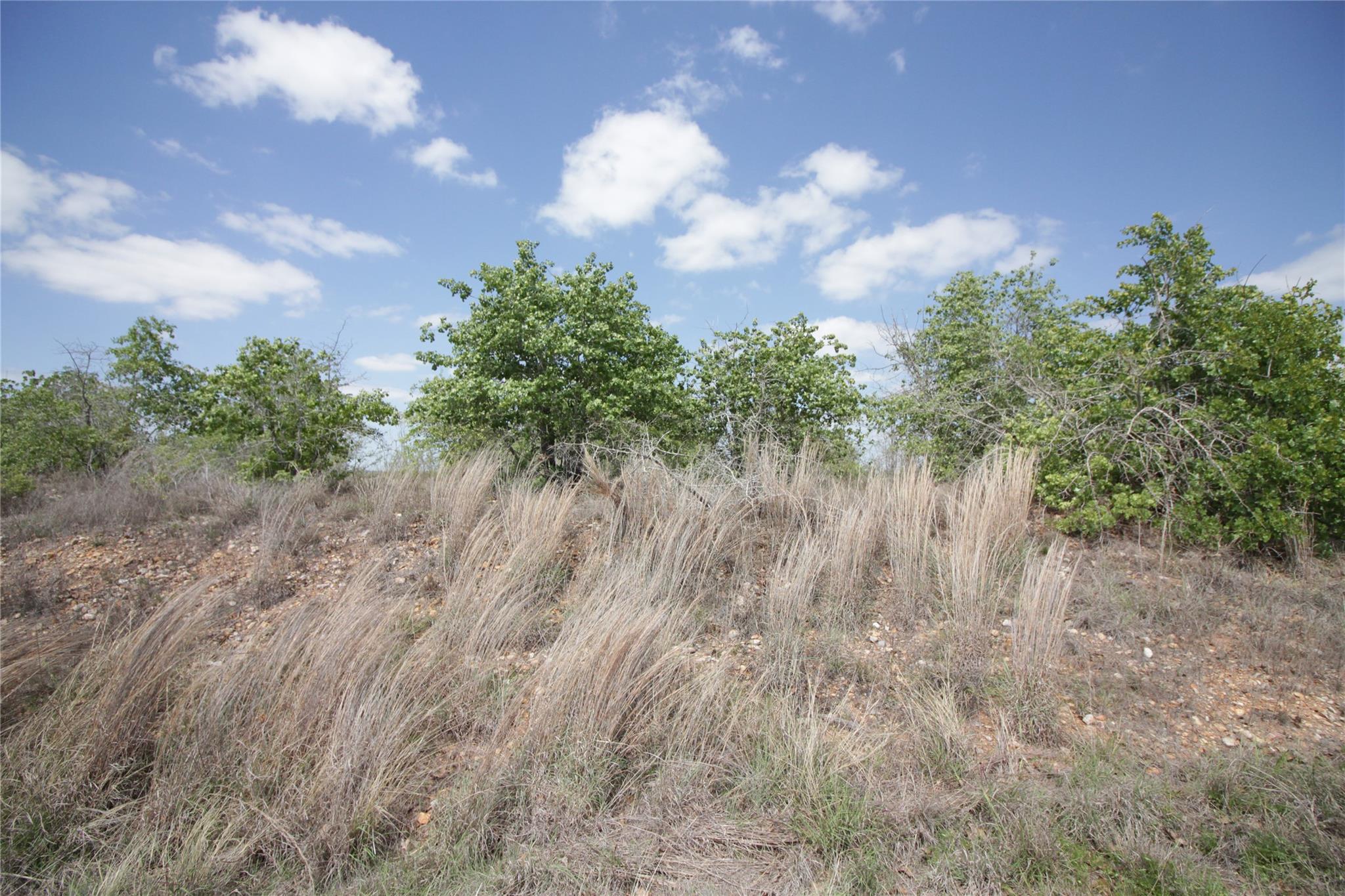 TBD River Forest Dr, Bastrop, TX 78602