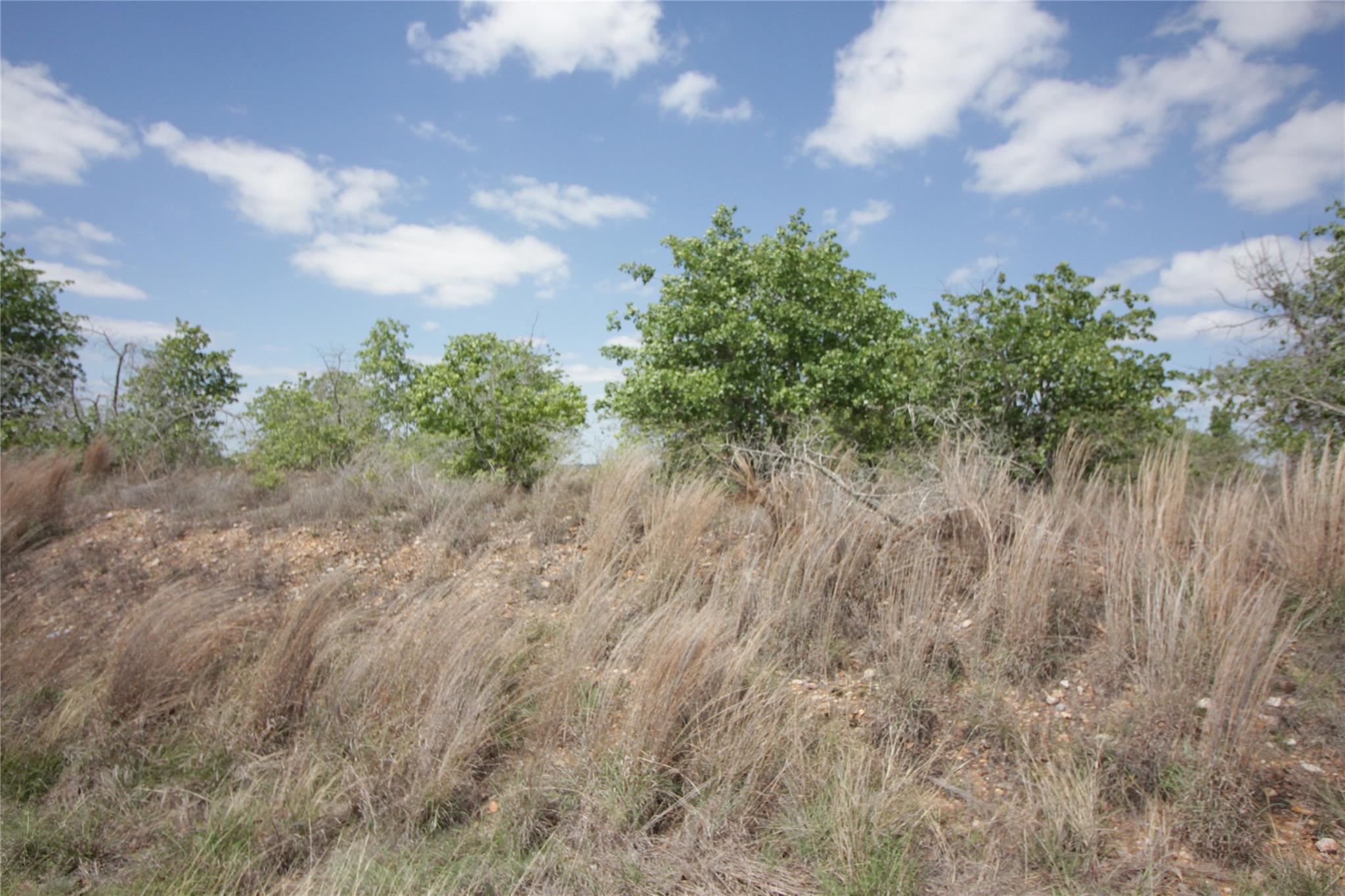 TBD River Forest Dr, Bastrop, TX 78602