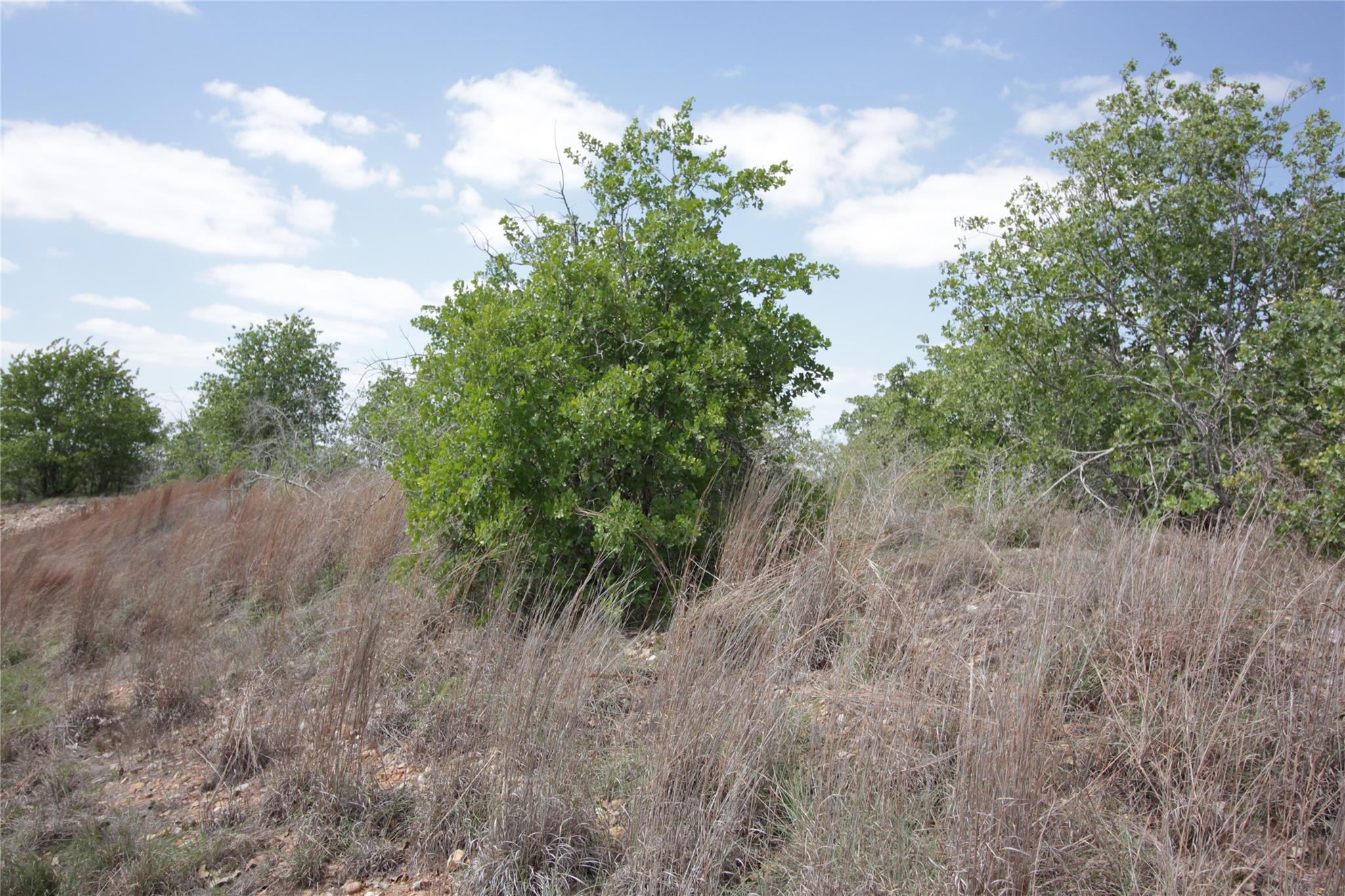 TBD River Forest Dr, Bastrop, TX 78602