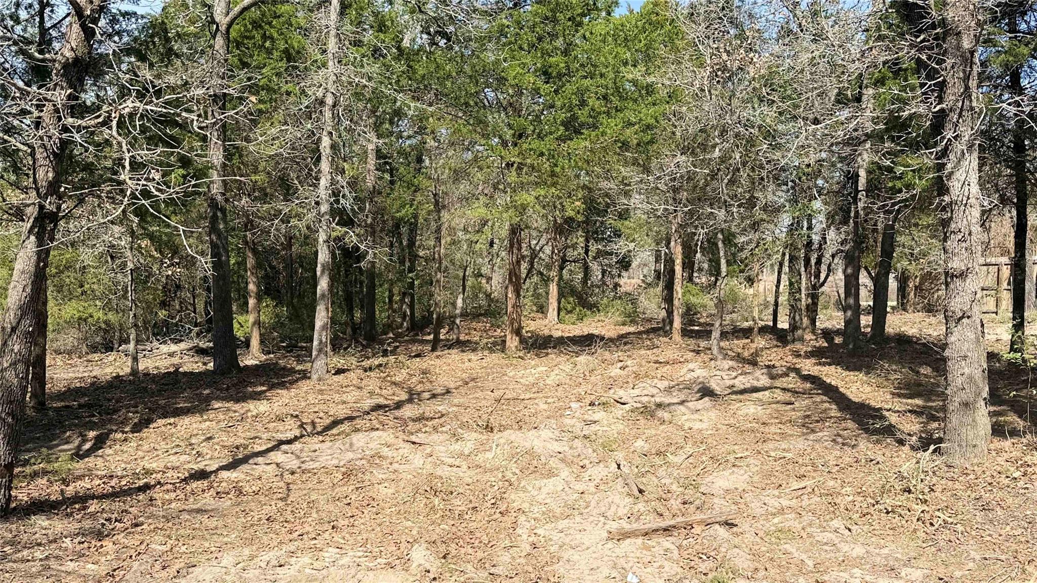 130 Las Cimas Dr, Elgin, TX 78621