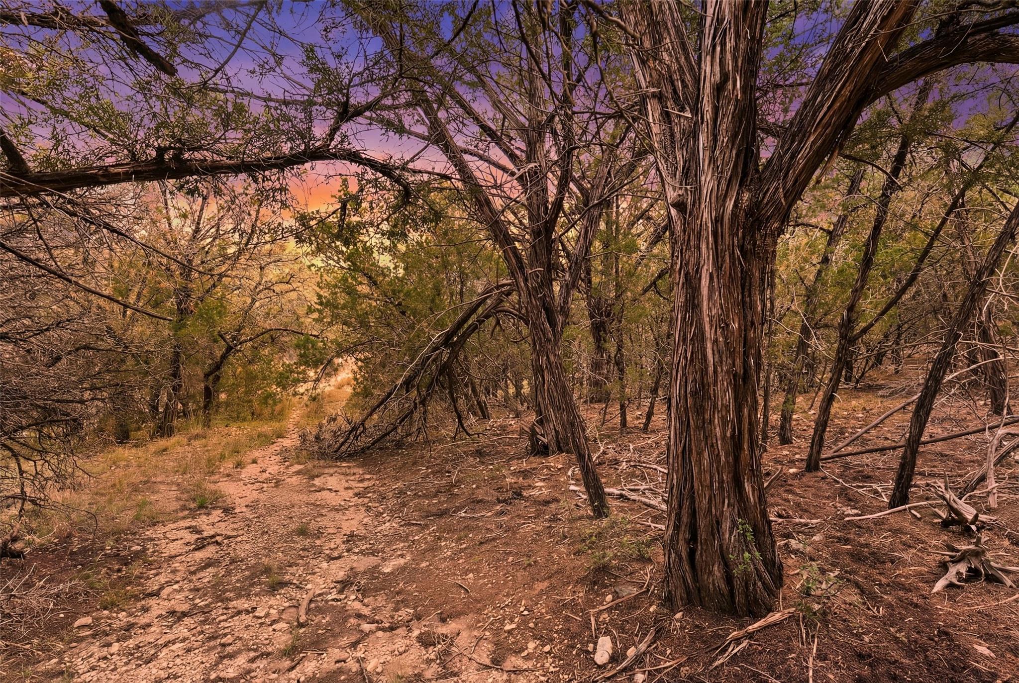 600 N Angel Light Dr, Spicewood, TX 78669