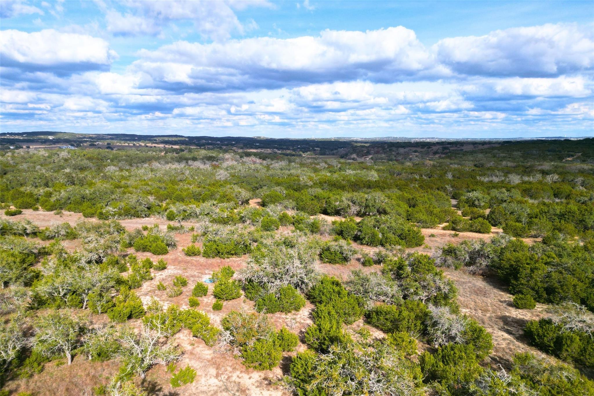 1401 Pursley Rd, Dripping Springs, TX 78620