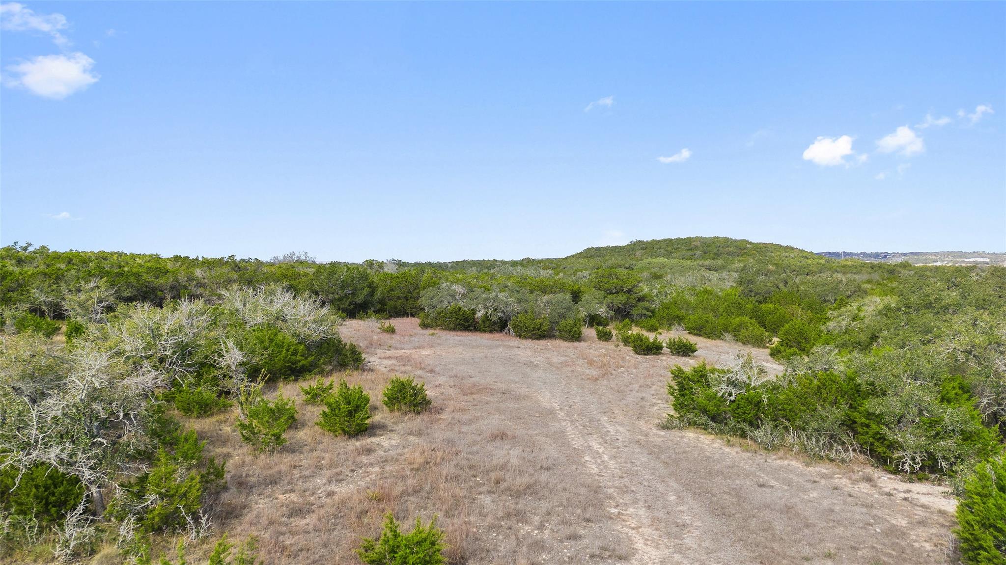 1401 Pursley Rd, Dripping Springs, TX 78620