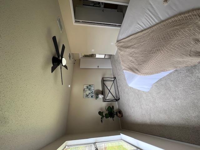 1909 Aster Pass, Cedar Park, TX 78613