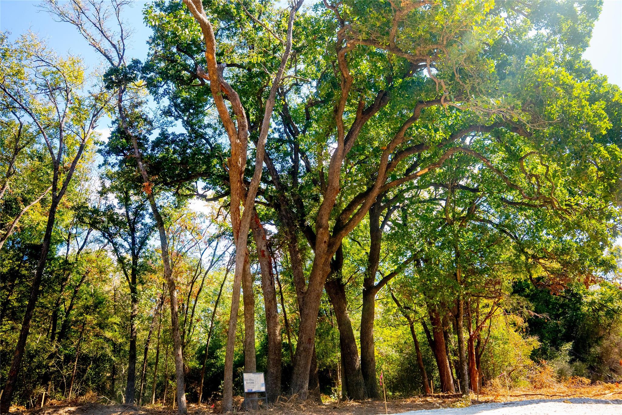 12320 RED HILL Rd, Hearne, TX 77859