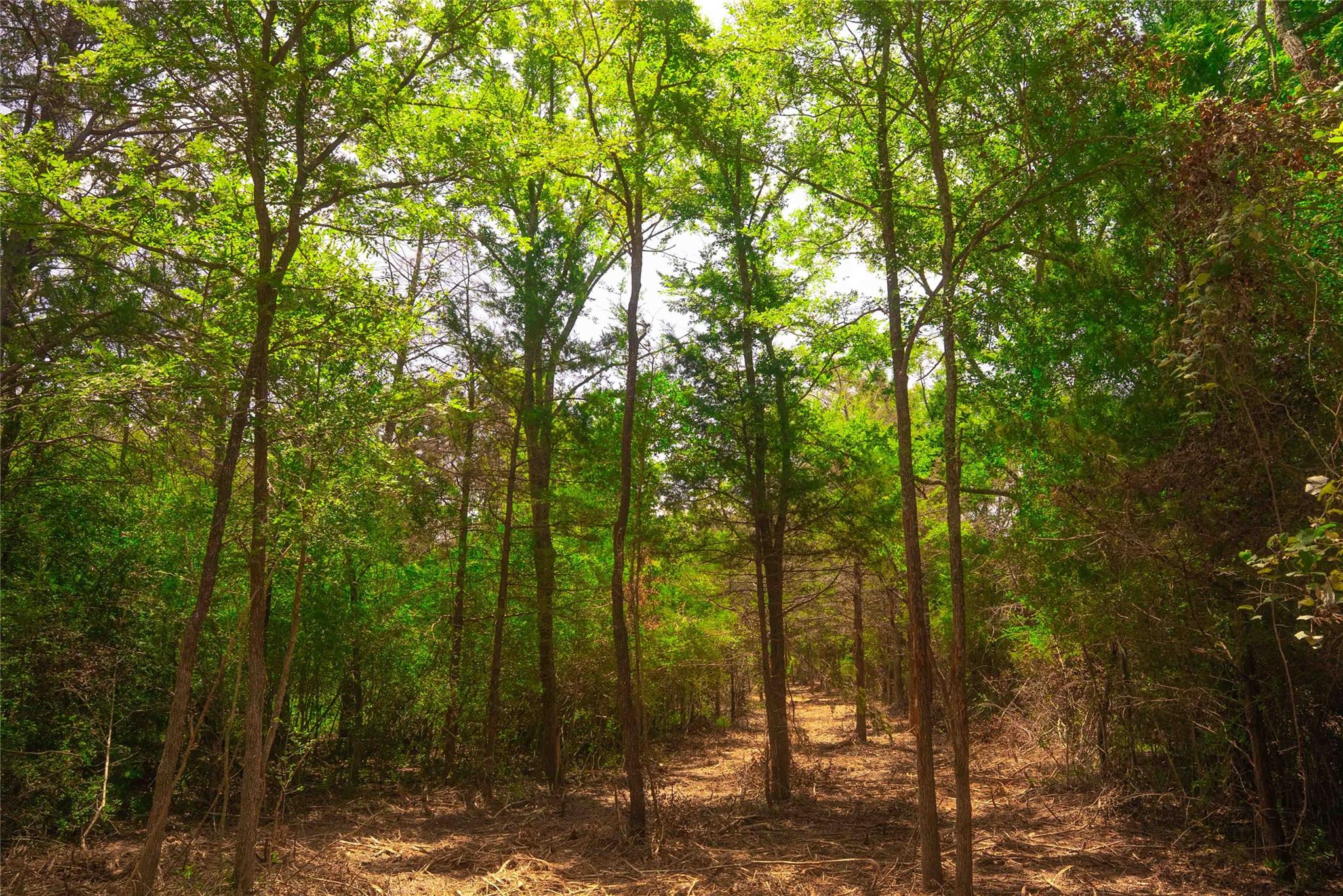 12320 RED HILL Rd, Hearne, TX 77859