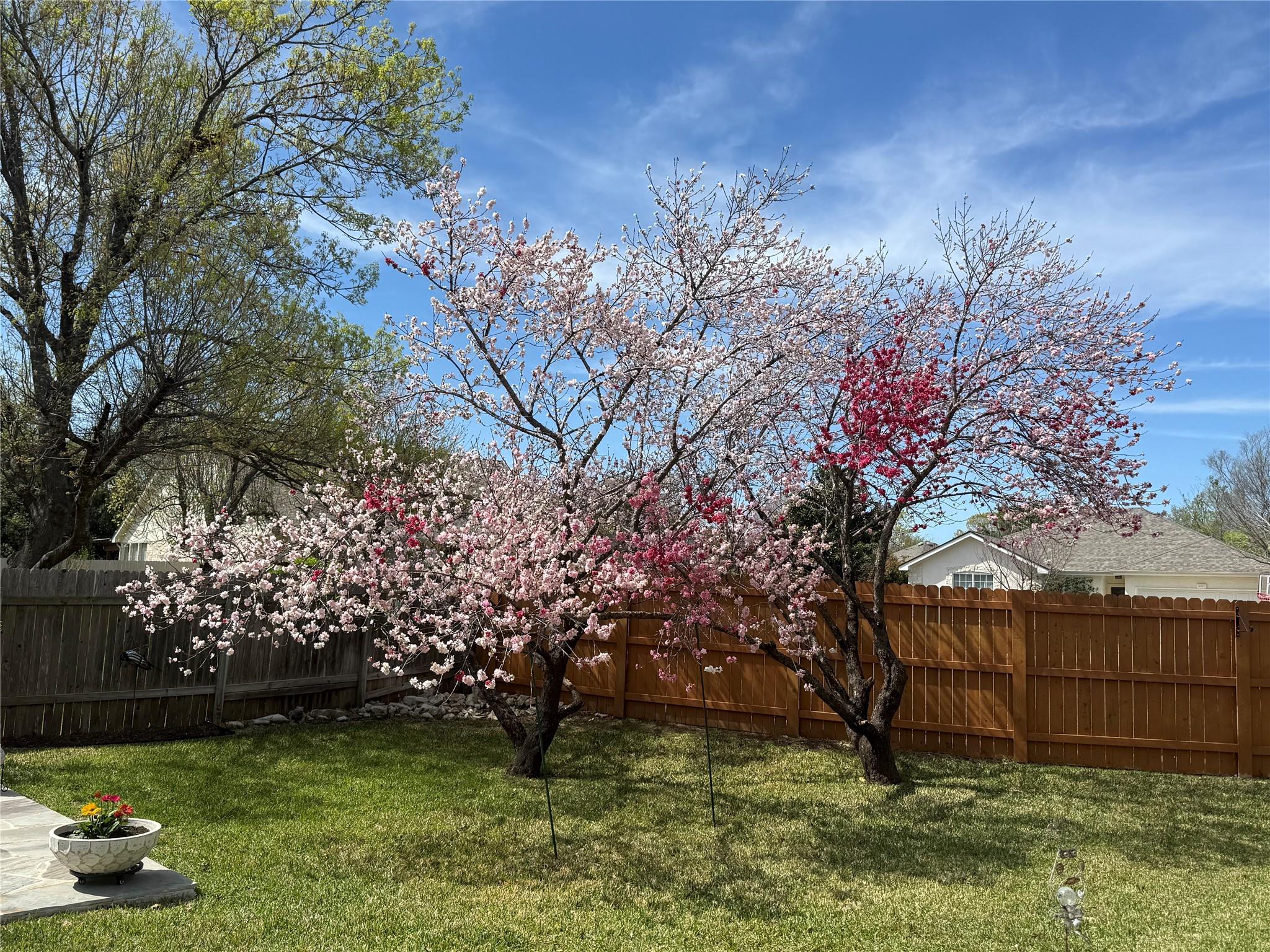 7009 Rambollet Ter, Round Rock, TX 78681